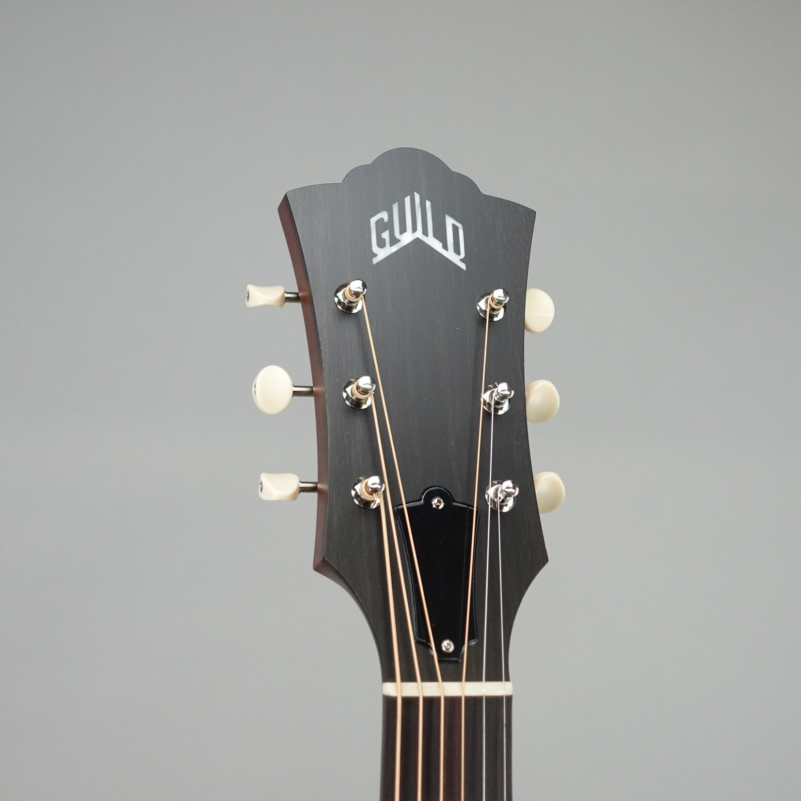 Guild D-20 Acoustic Guitar W/Case - Natural