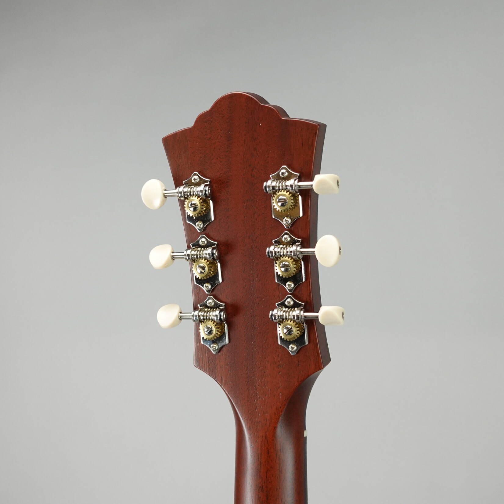 Guild D-20 Acoustic Guitar W/Case - Natural