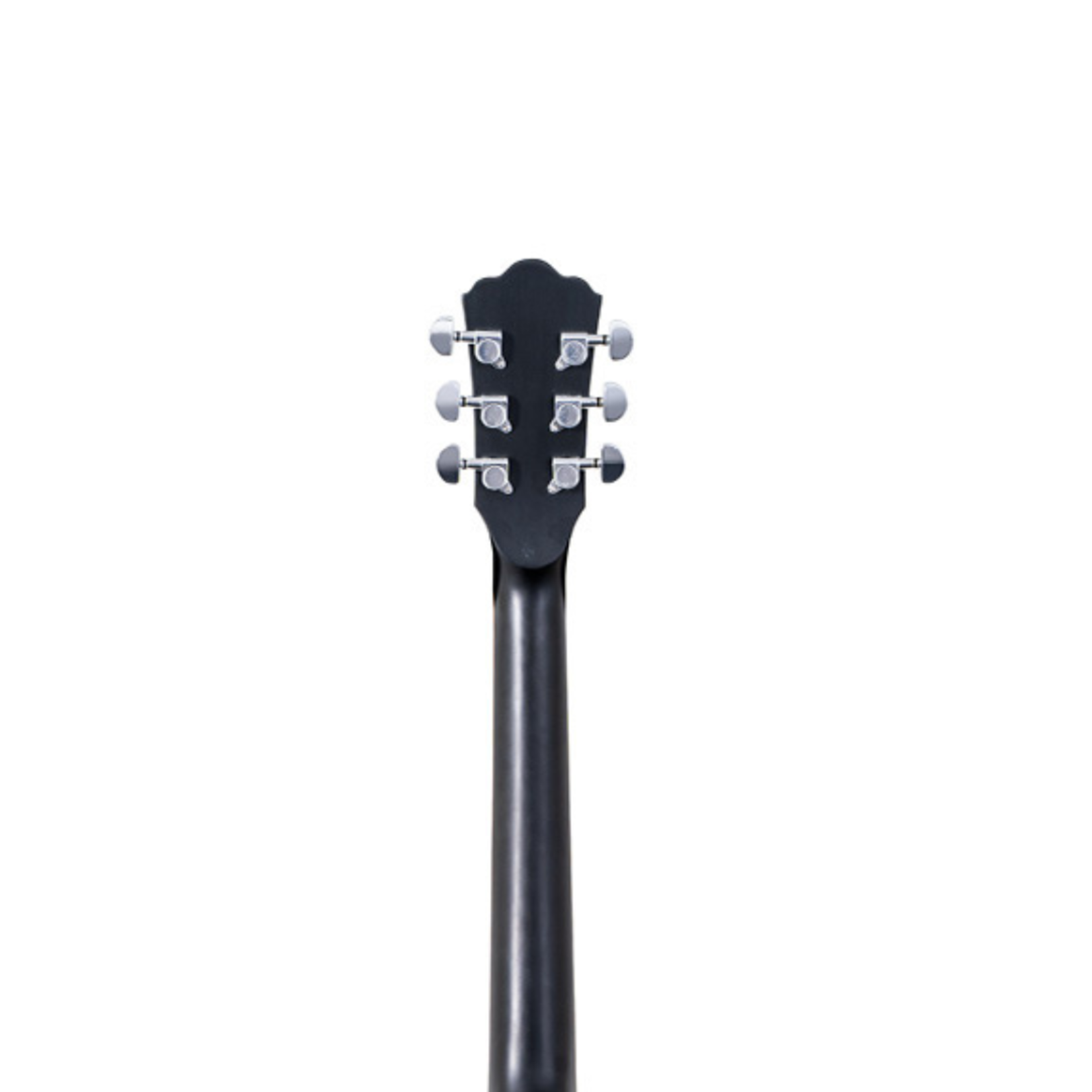 Washburn Deep Forest Burl ACE Acoustic Guitar - Black Fade