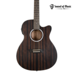 Washburn Deep Forest Ebony ACE Acoustic-Electric Guitar - Natural