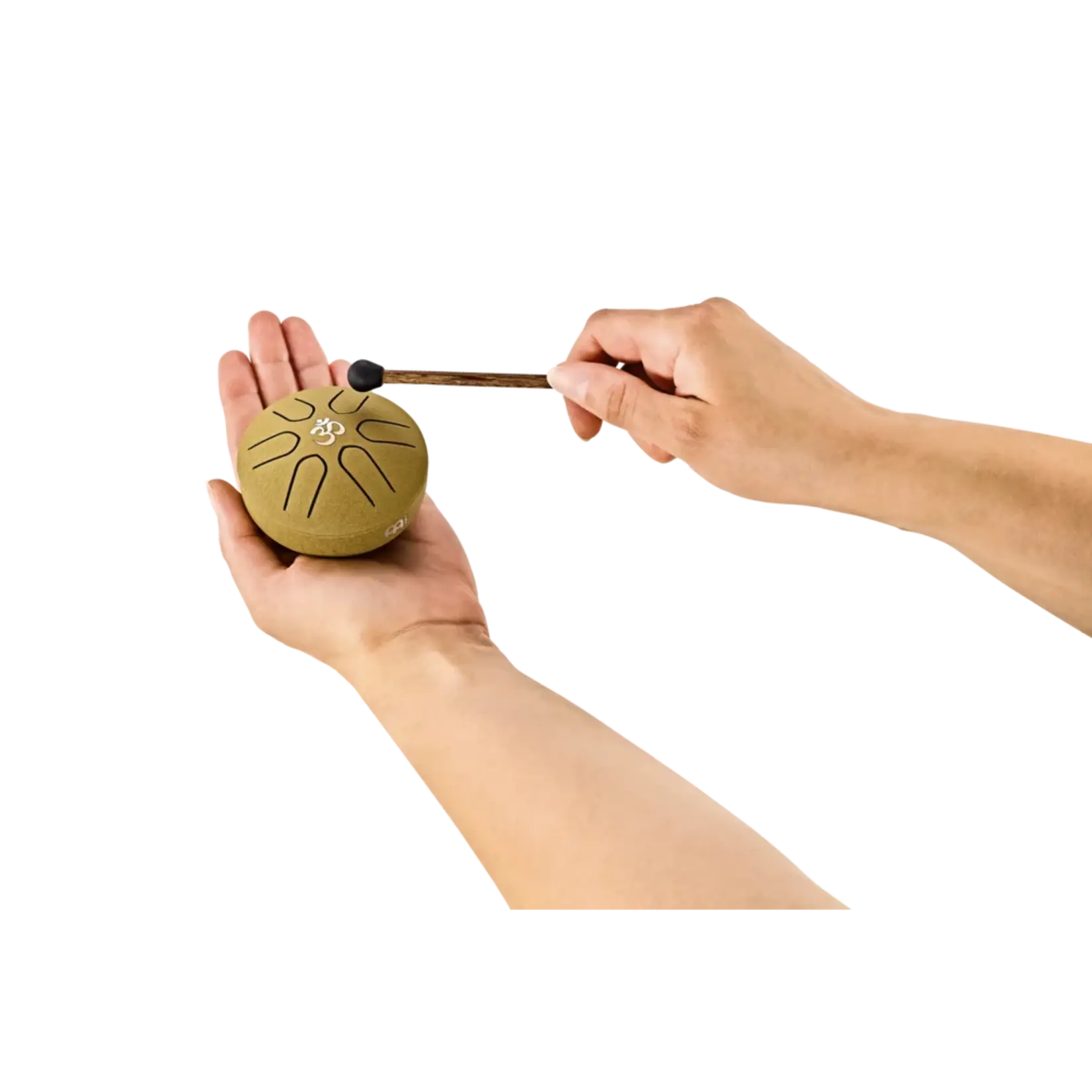 Meinl Sonic Energy Pocket Steel Tongue Drum, A Major - Gold