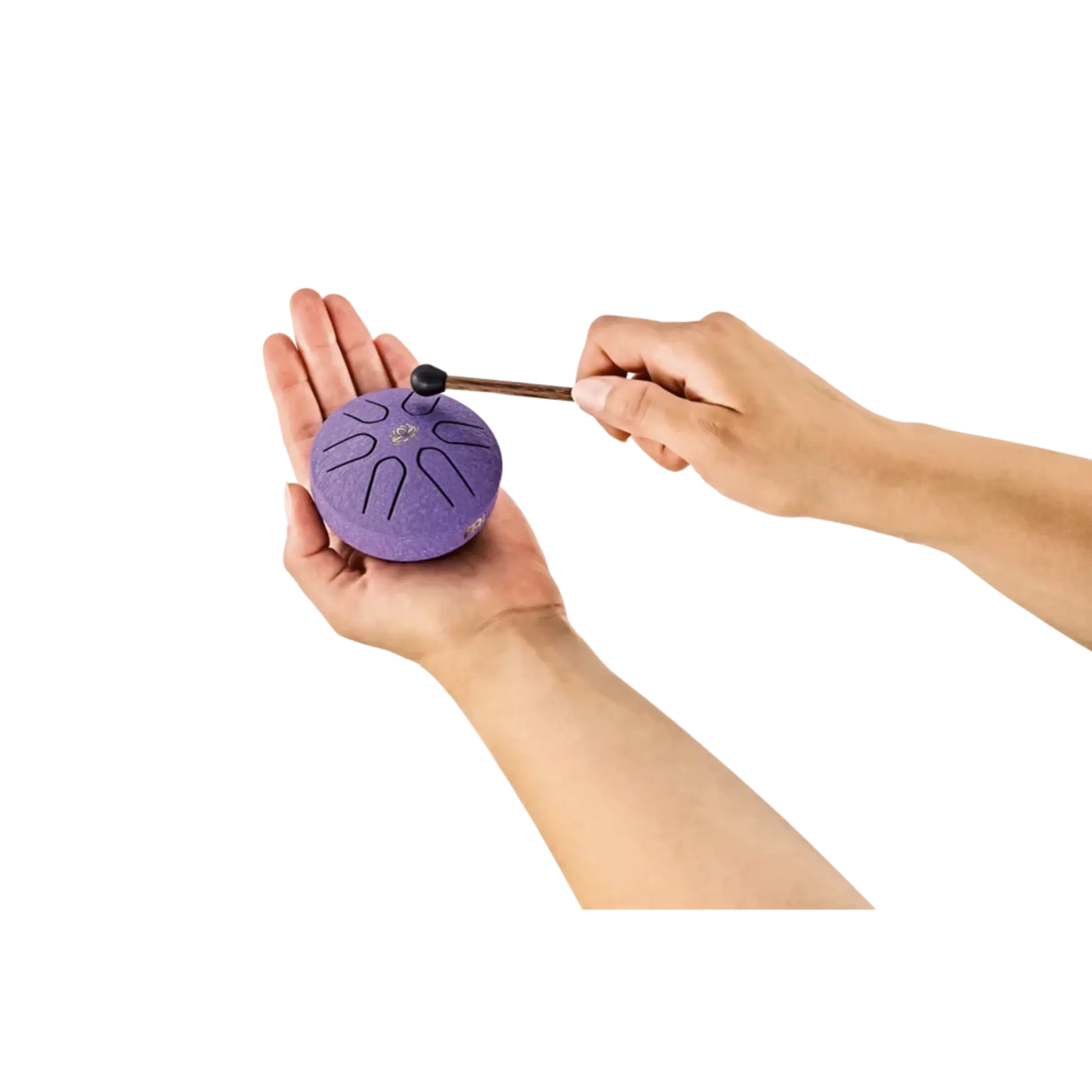 Meinl Sonic Energy Pocket Steel Tongue Drum, A Major - Purple