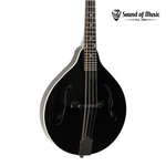 Recording King Recording King RAM-3 Dirty 30s A-Style Mandolin - Gloss Black
