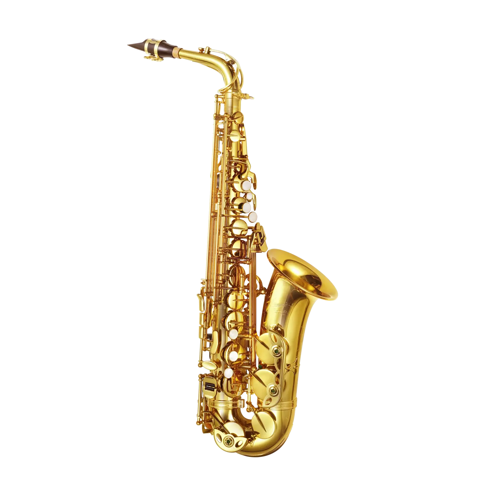 P. Mauriat PMSA-185ABS Advanced Alto Saxophone Outfit - Gold Lacquer