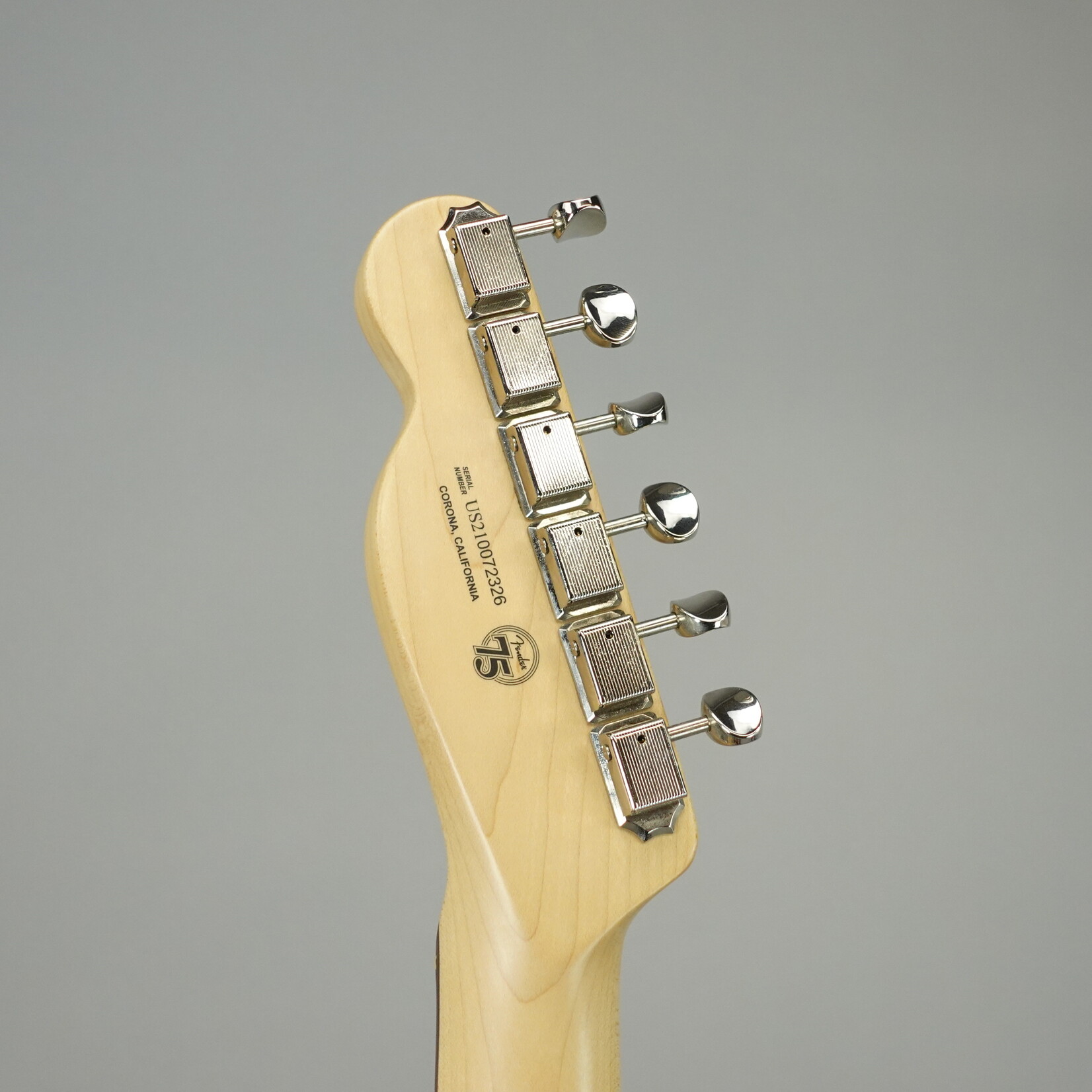 Fender American Performer Telecaster W/Gig Bag - Honey Burst (Used)