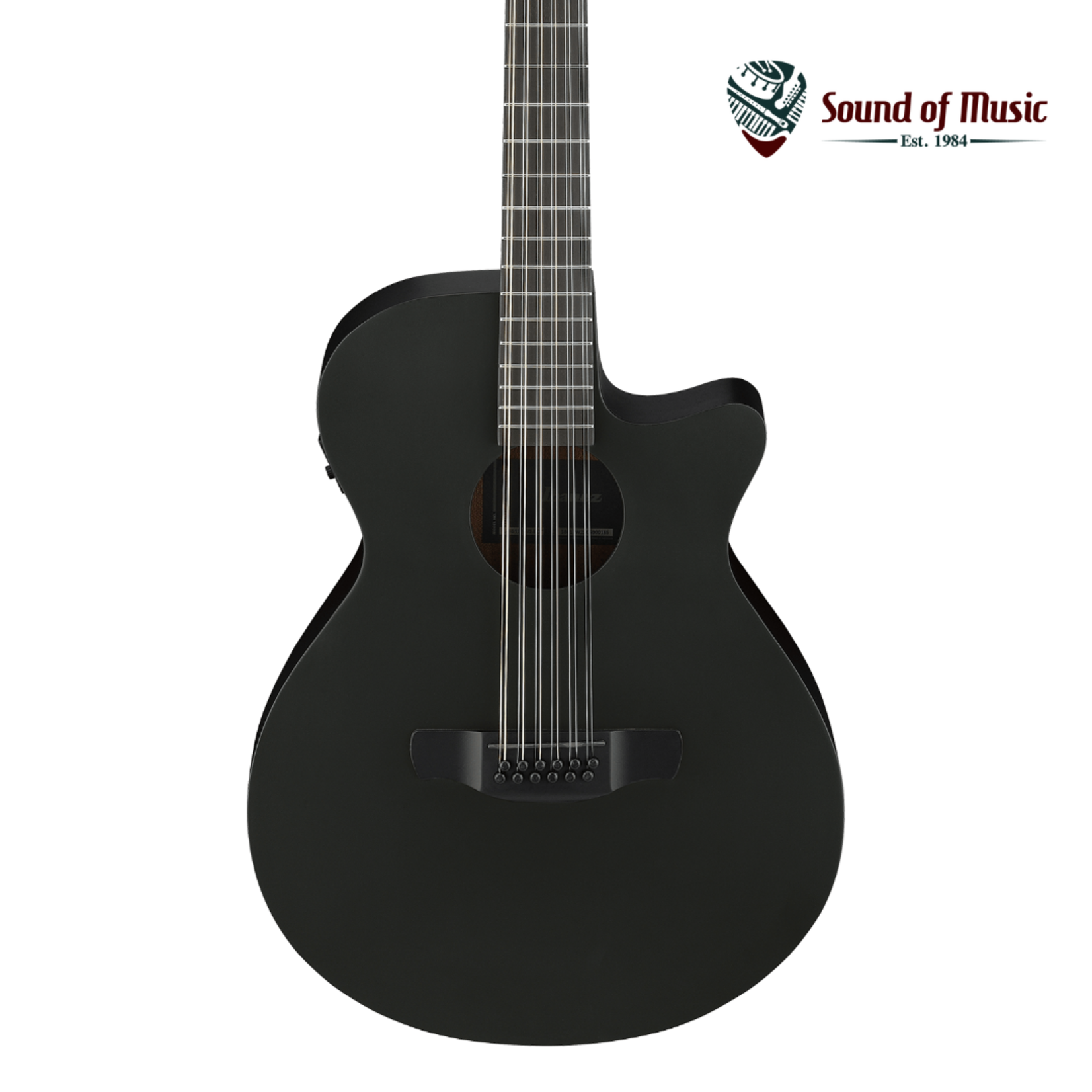 Ibanez AEG1221 12-String Acoustic-Electric Guitar - Black Out