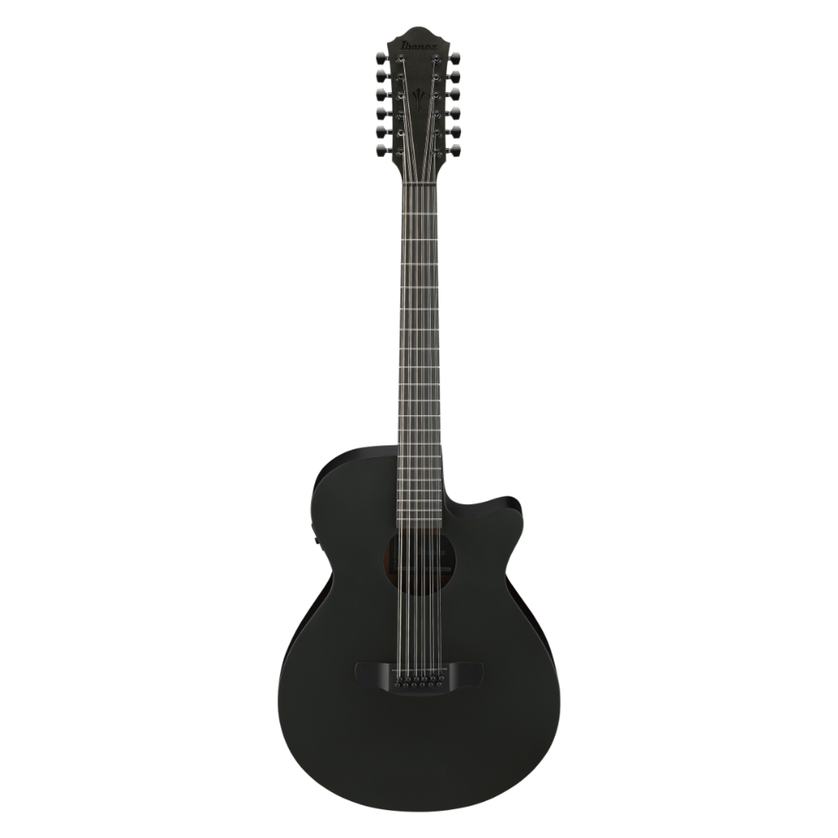 Ibanez AEG1221 12-String Acoustic-Electric Guitar - Black Out