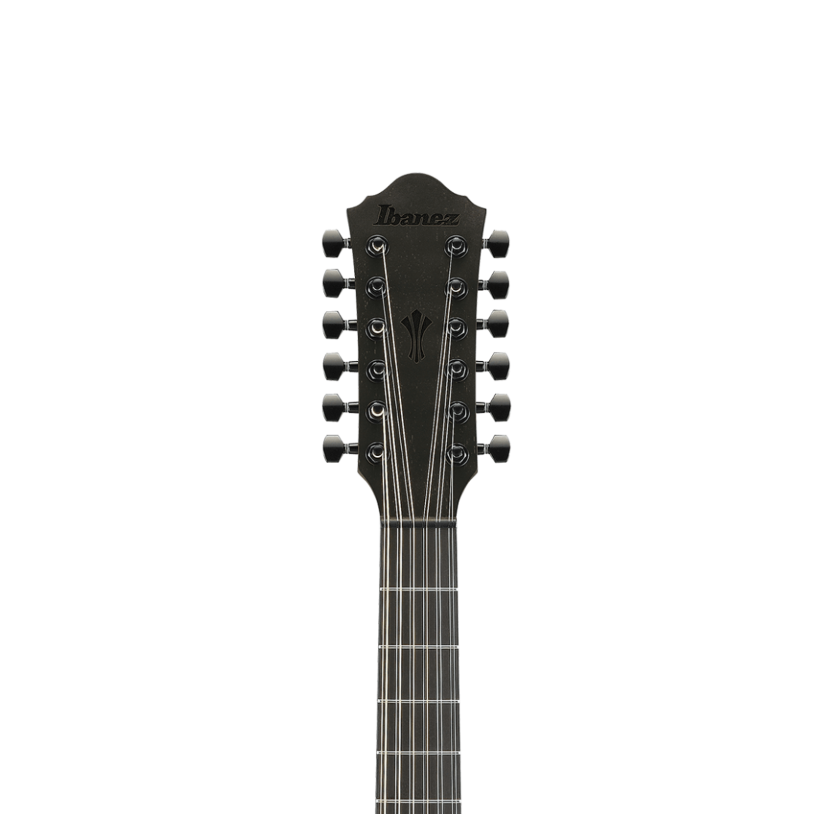 Ibanez AEG1221 12-String Acoustic-Electric Guitar - Black Out