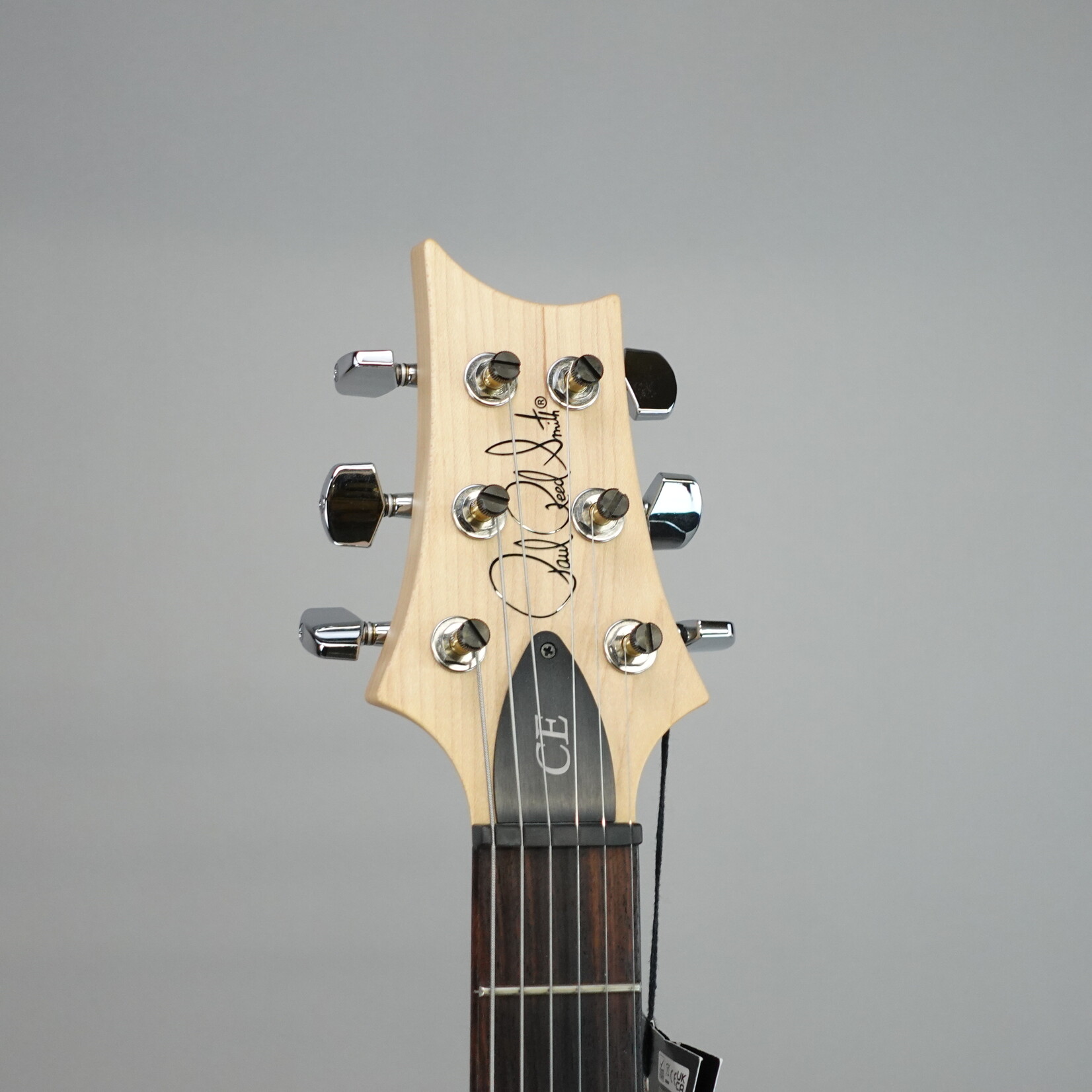 PRS CE 24 Electric Guitar W/Gig Bag - Eriza Verde (DEMO)