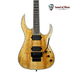 B.C. Rich B.C. Rich Shredzilla Prophecy Exotic Archtop Electric Guitar W/Floyd Rose - Spalted Maple