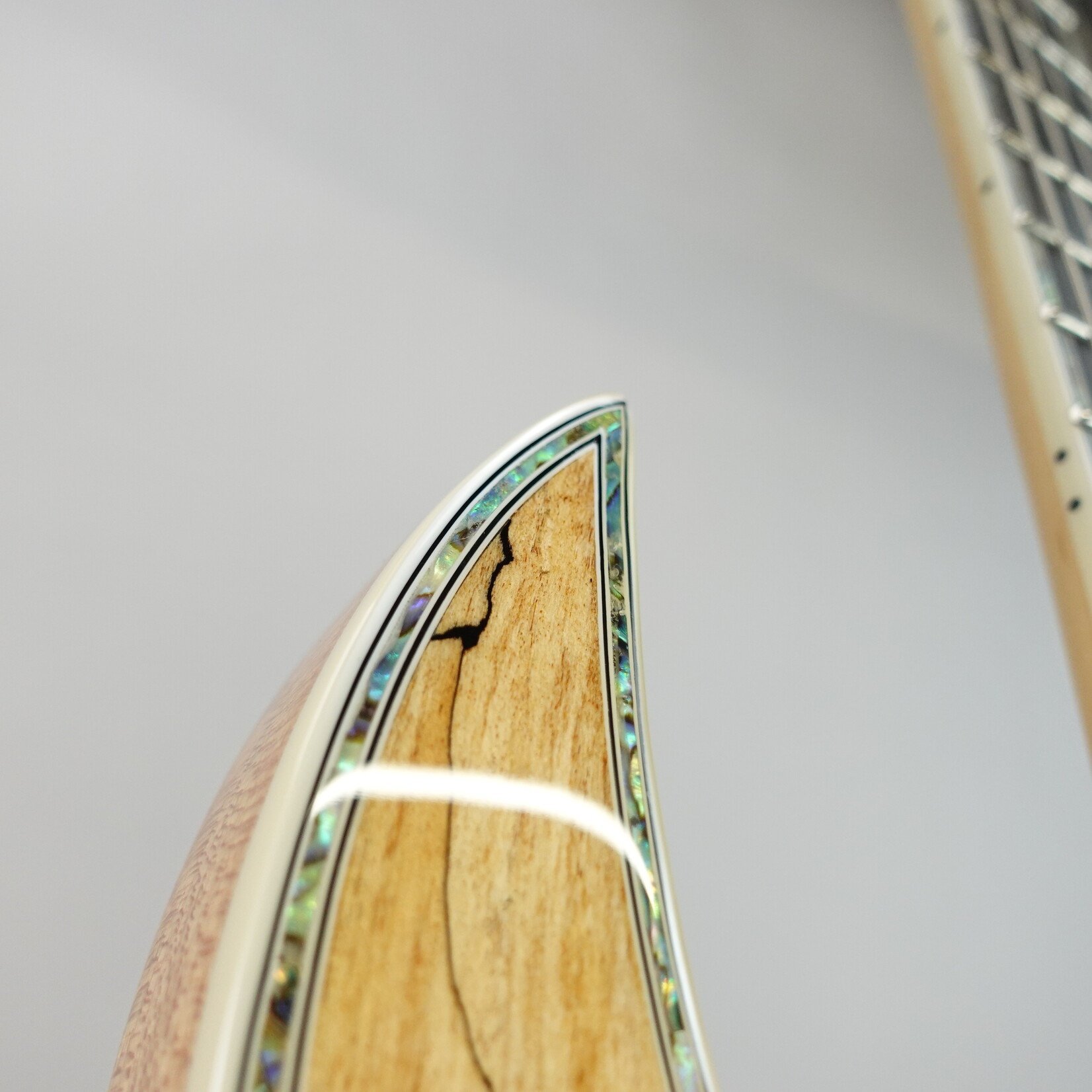 B.C. Rich Shredzilla Prophecy Exotic Archtop Electric Guitar W/Floyd Rose - Spalted Maple