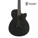 IBANEZ Ibanez AEG621 Acoustic-Electric Guitar - Black Out