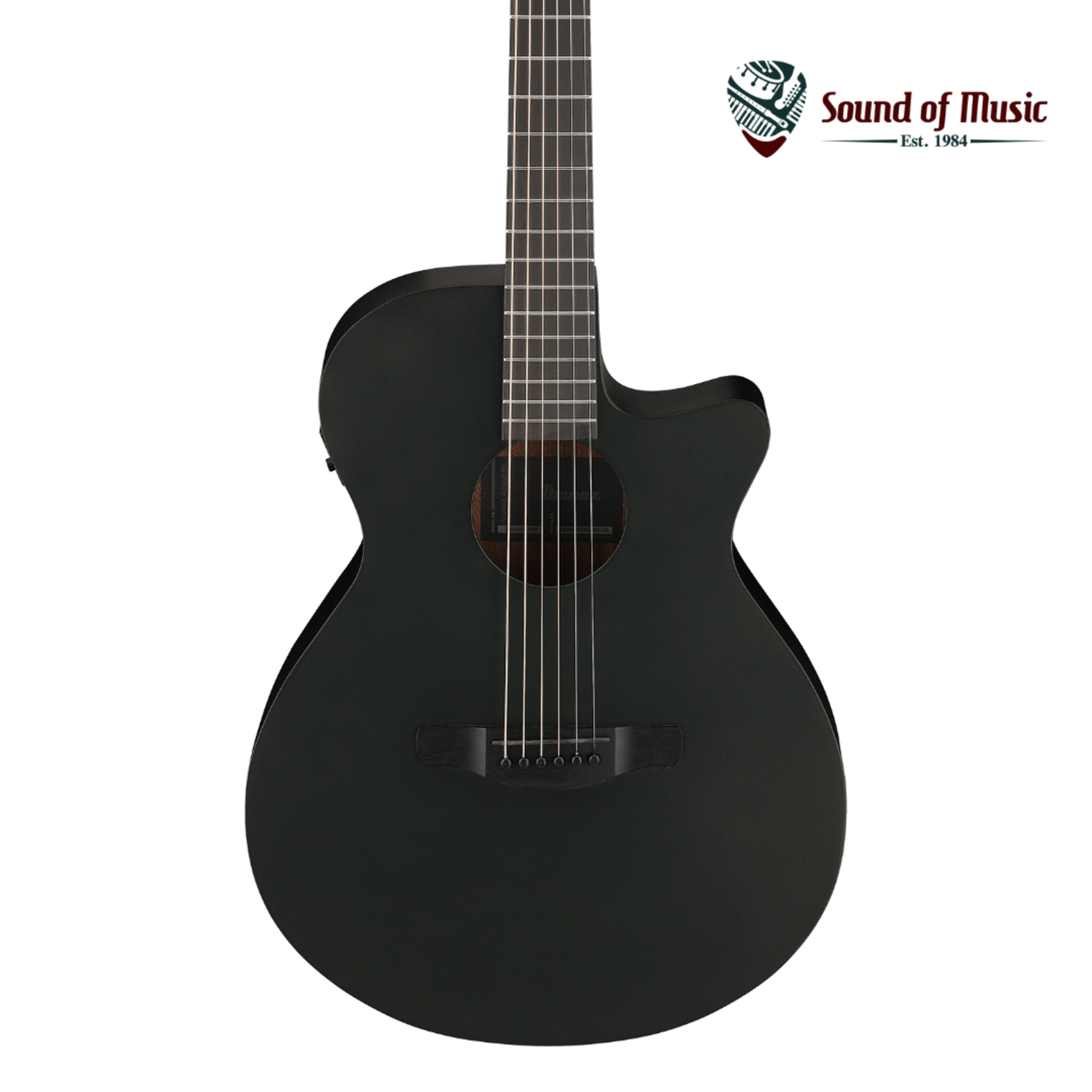 Ibanez AEG621 Acoustic-Electric Guitar - Black Out