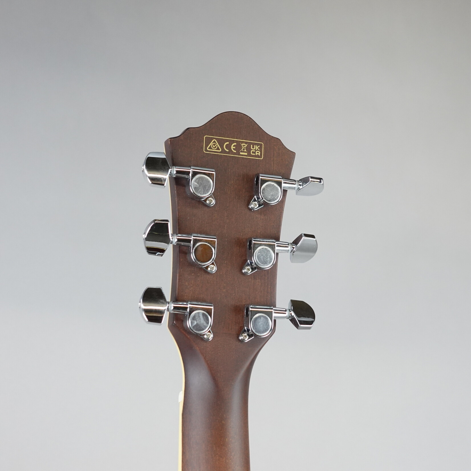 Ibanez AEGA250 USA 250th Anniversary Grand Auditorium Acoustic-Electric Guitar - America 250