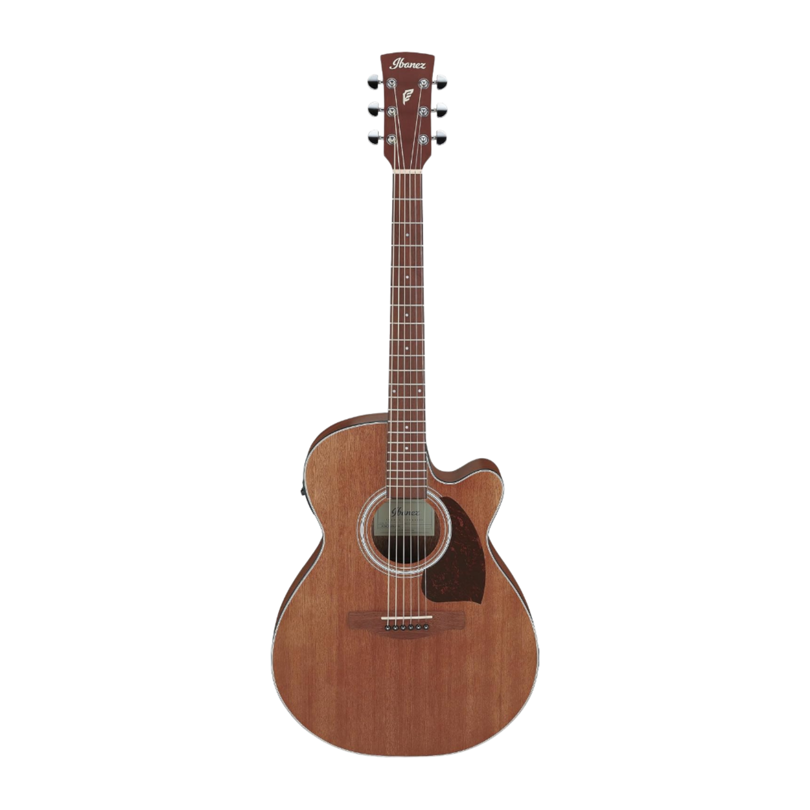 Ibanez PC54CE Acoustic-Electric Guitar - Open Pore Natural