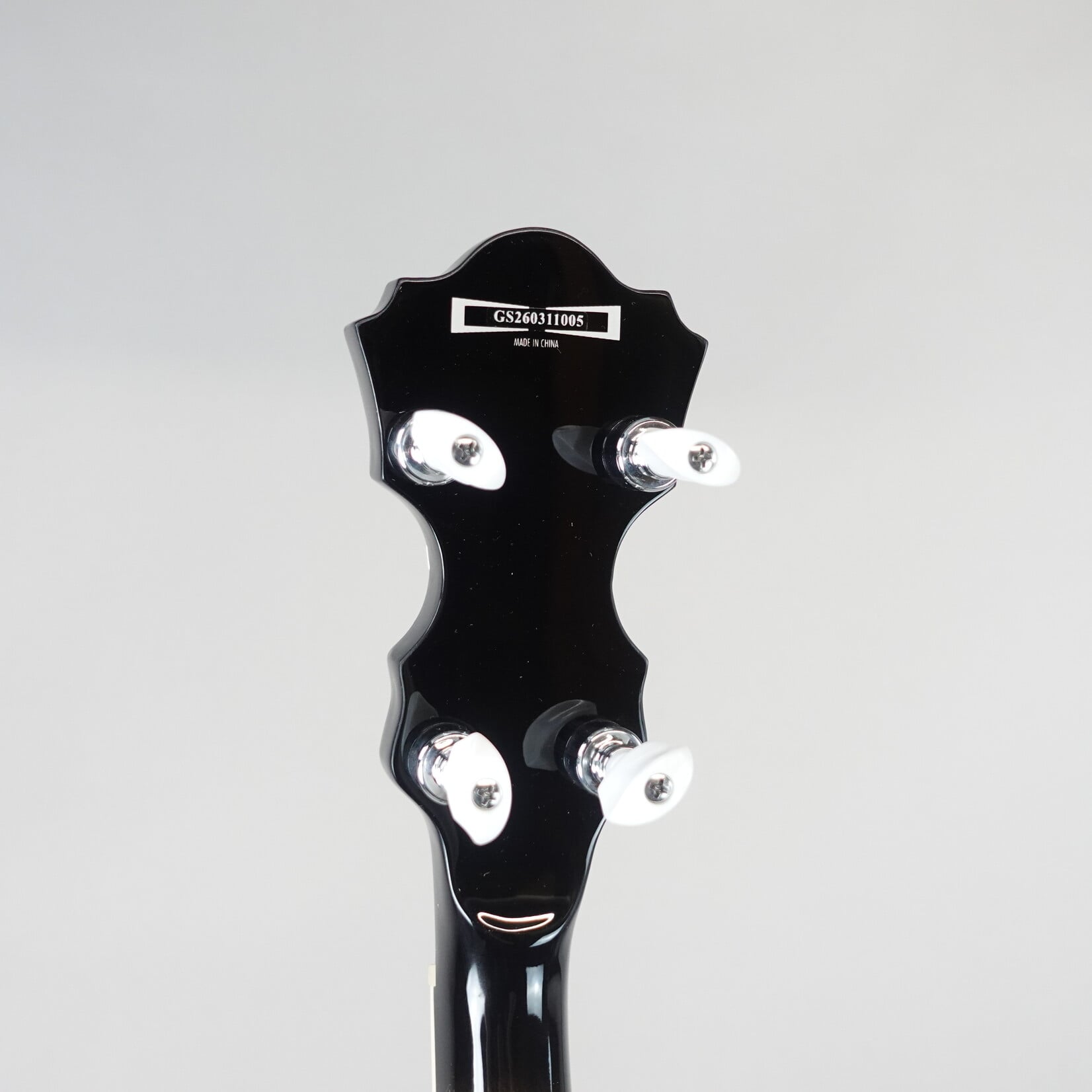 Ibanez 250th USA Anniversary BA250 5-String Resonator Banjo