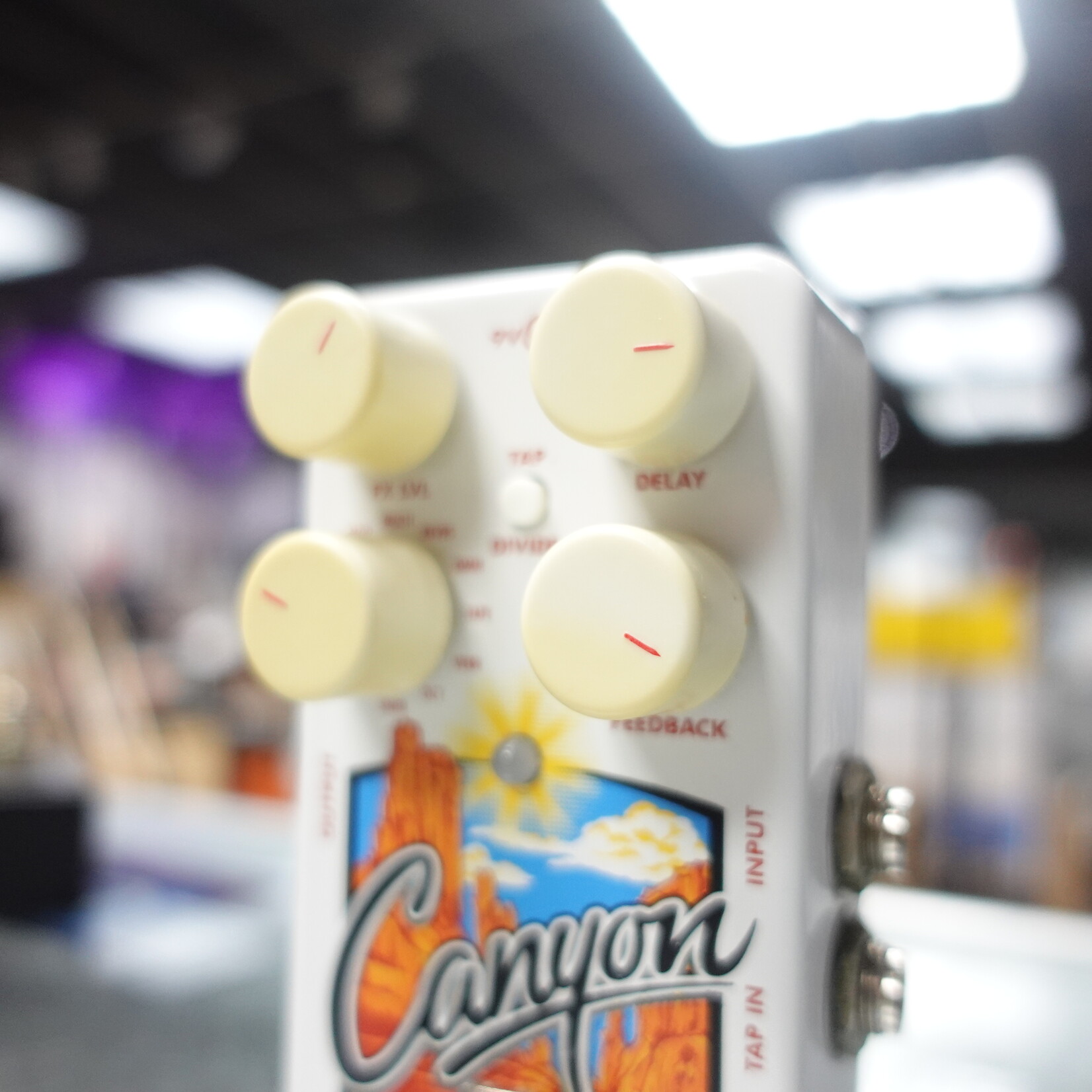 Electro-Harmonix Canyon Delay and Looper Pedal - (Used)