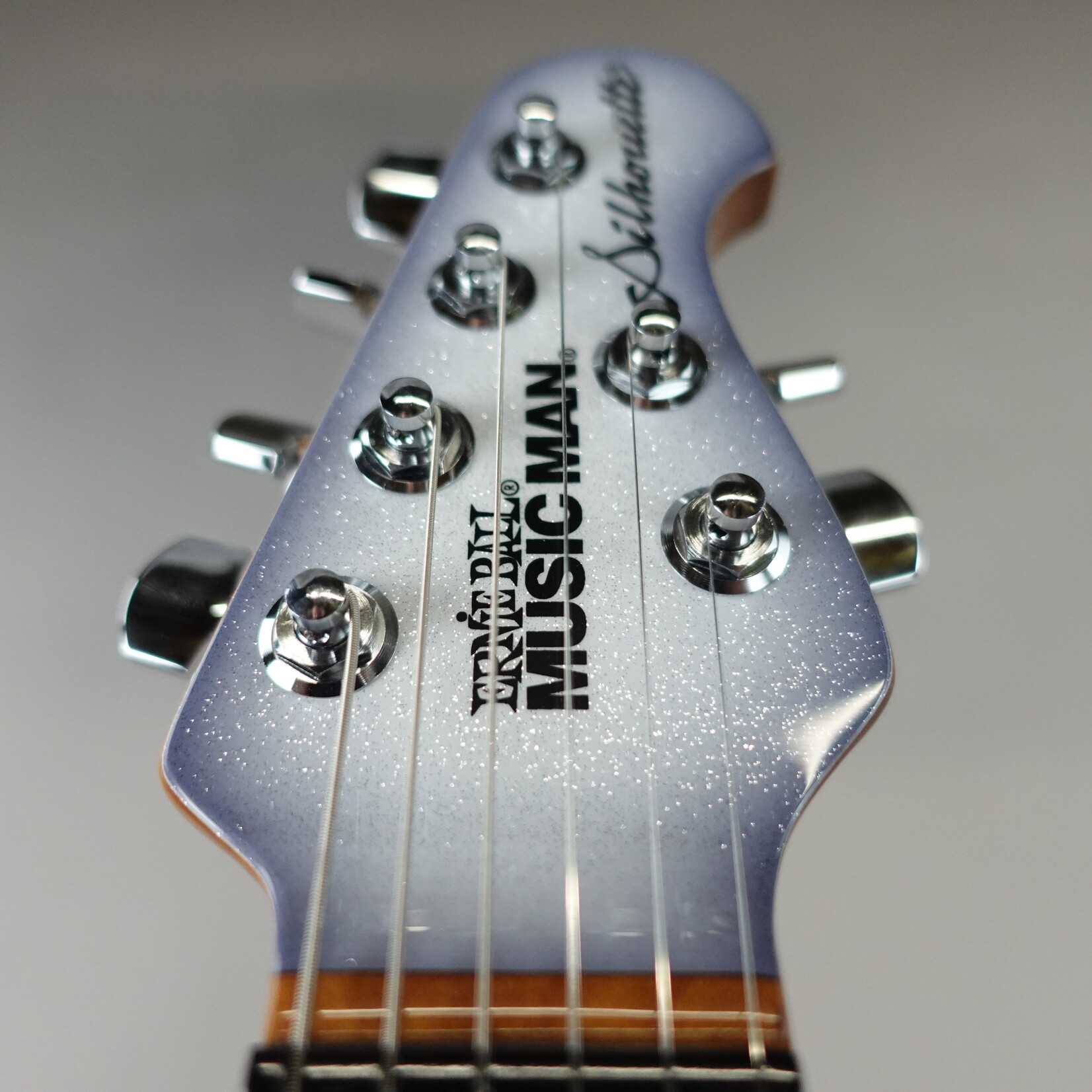 Ernie Ball Music Man HSH Silhouette Electric Guitar - Snowy Night