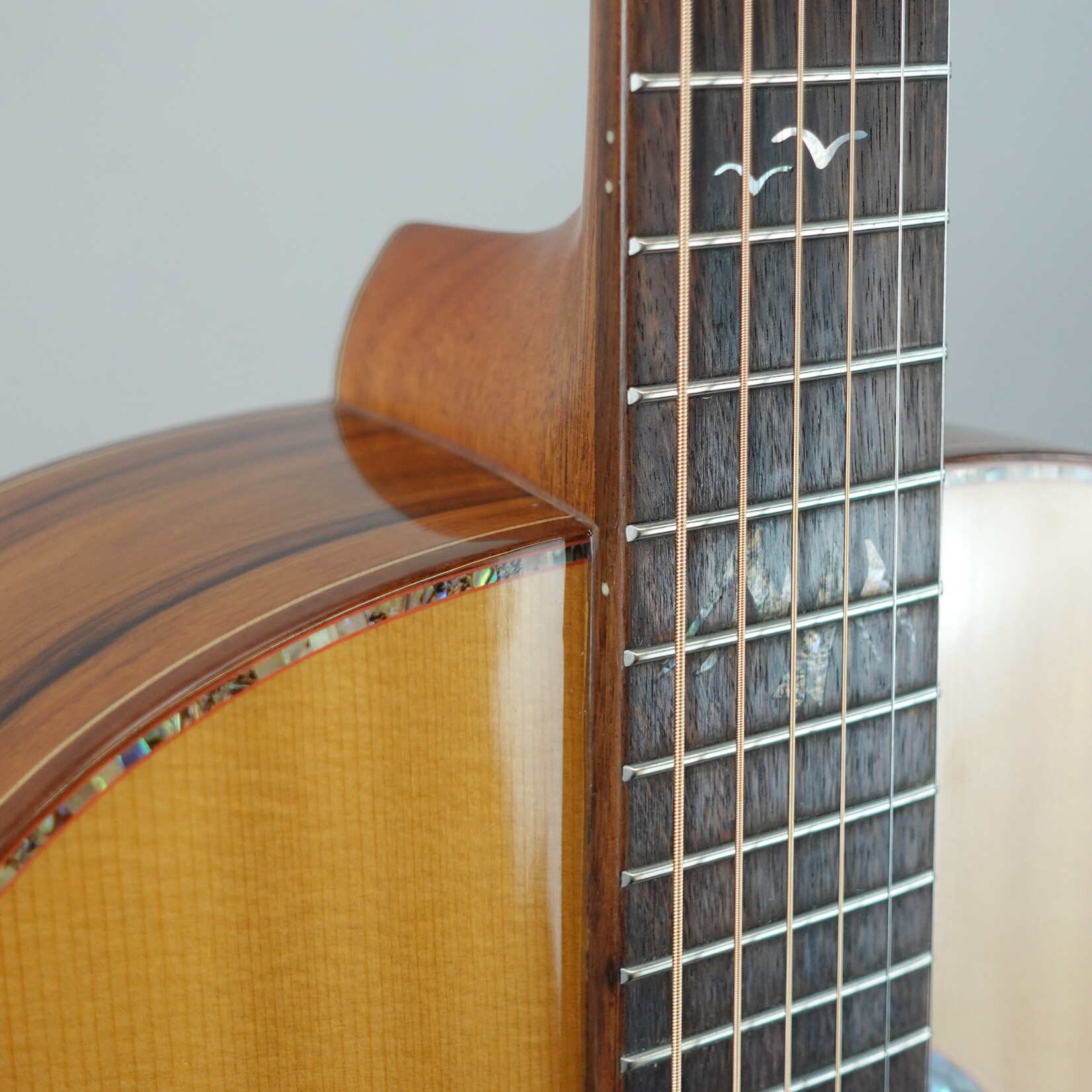 Washburn BTS24S Bella Tono Elegante Acoustic Guitar - (Used)