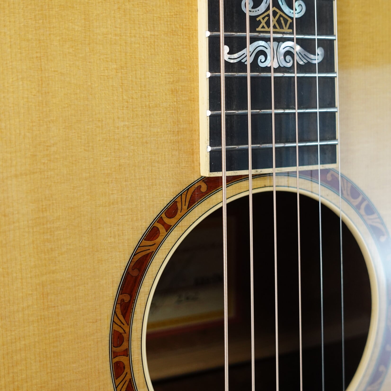 Taylor 2000 Limited Edition XXV-DR Acoustic Guitar W/Case - (Used)