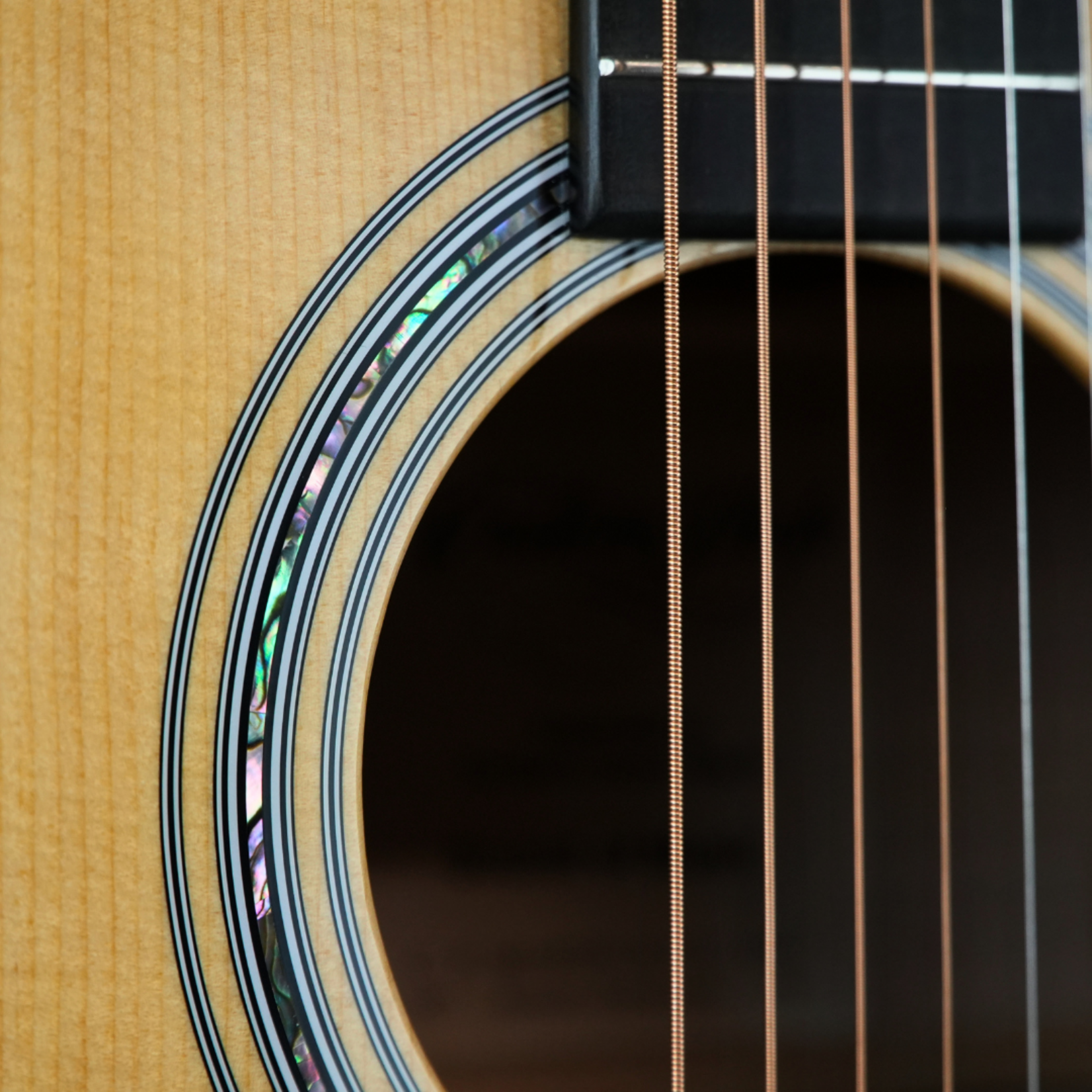 Martin Custom Shop Grand Performance Acoustic Guitar W/Hardshell Case – AAA Pacific Big Leaf Flamed Maple
