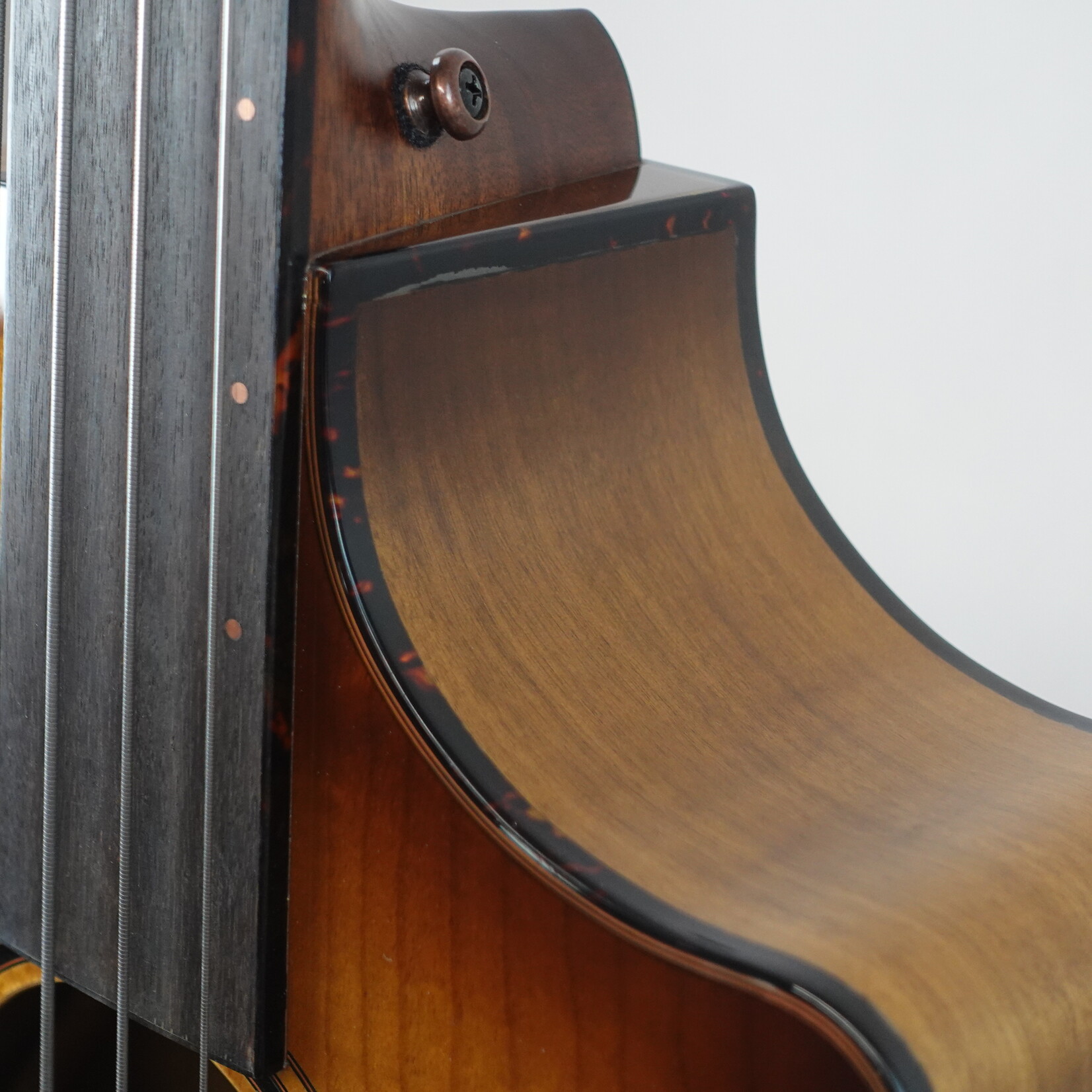 Breedlove Pursuit Exotic S Concerto Amber Fretless Bass CE Myrtlewood - (Used)