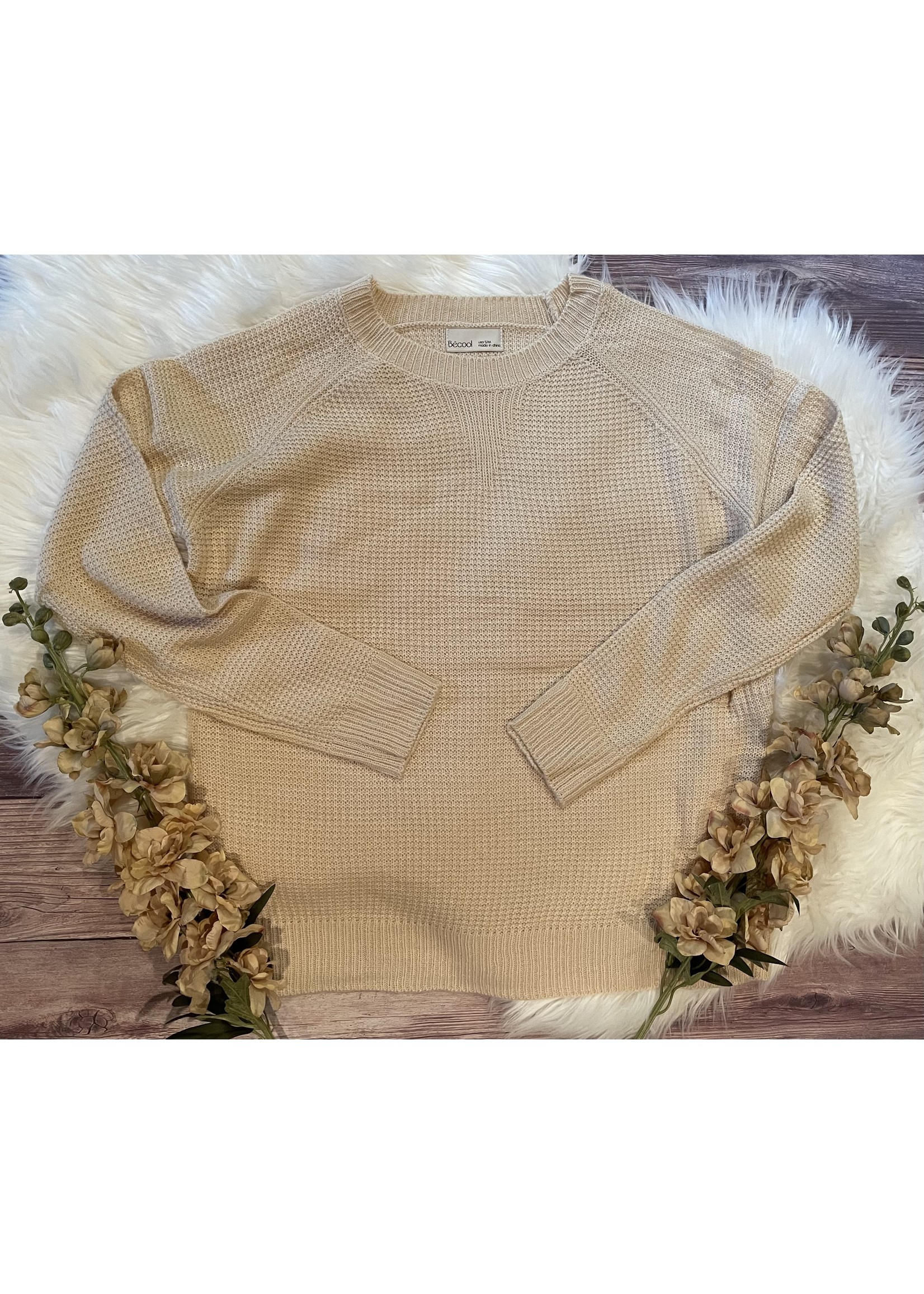 Vanilla Knit Sweater