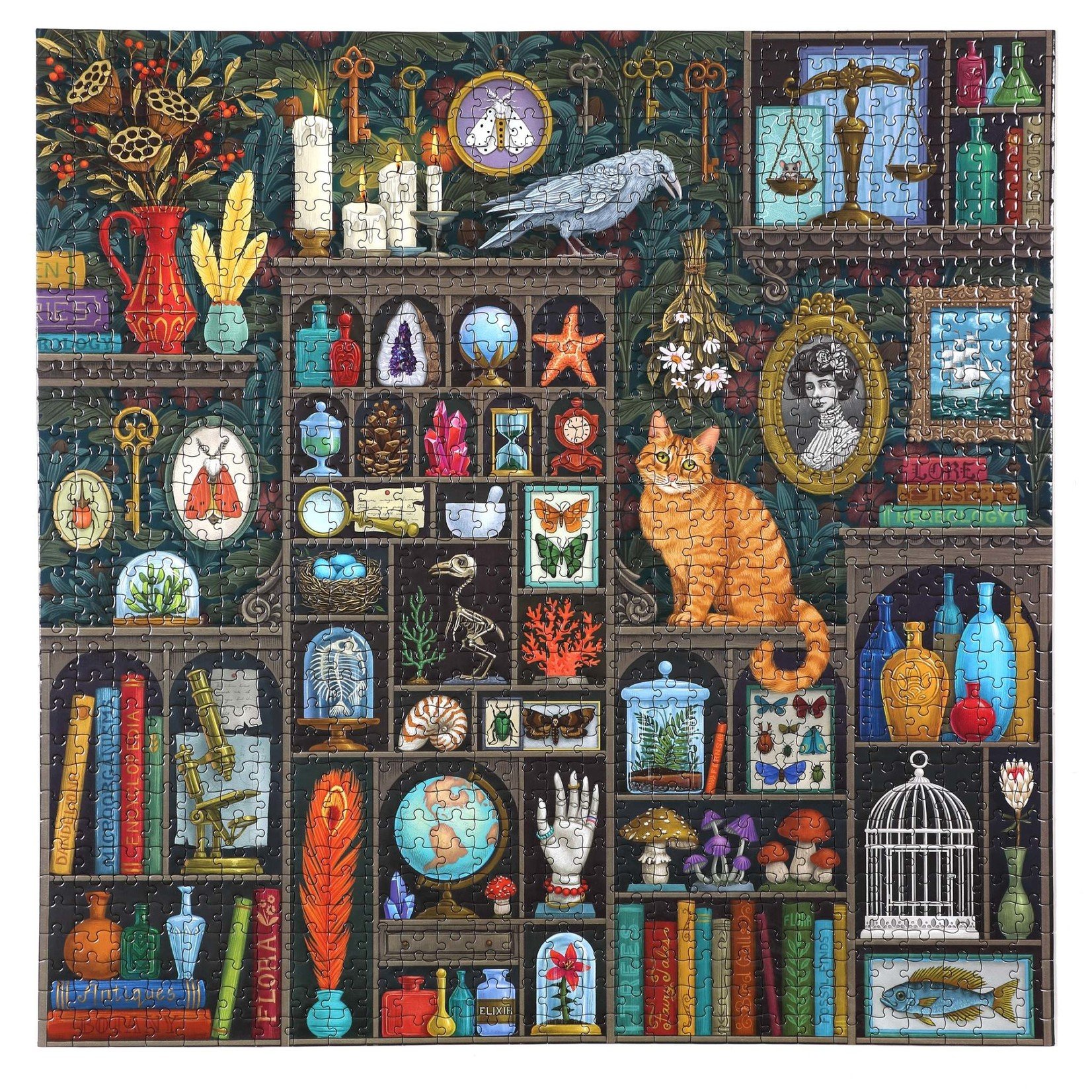 eeboo Alchemist's Cabinet 1000 Piece Square Puzzle