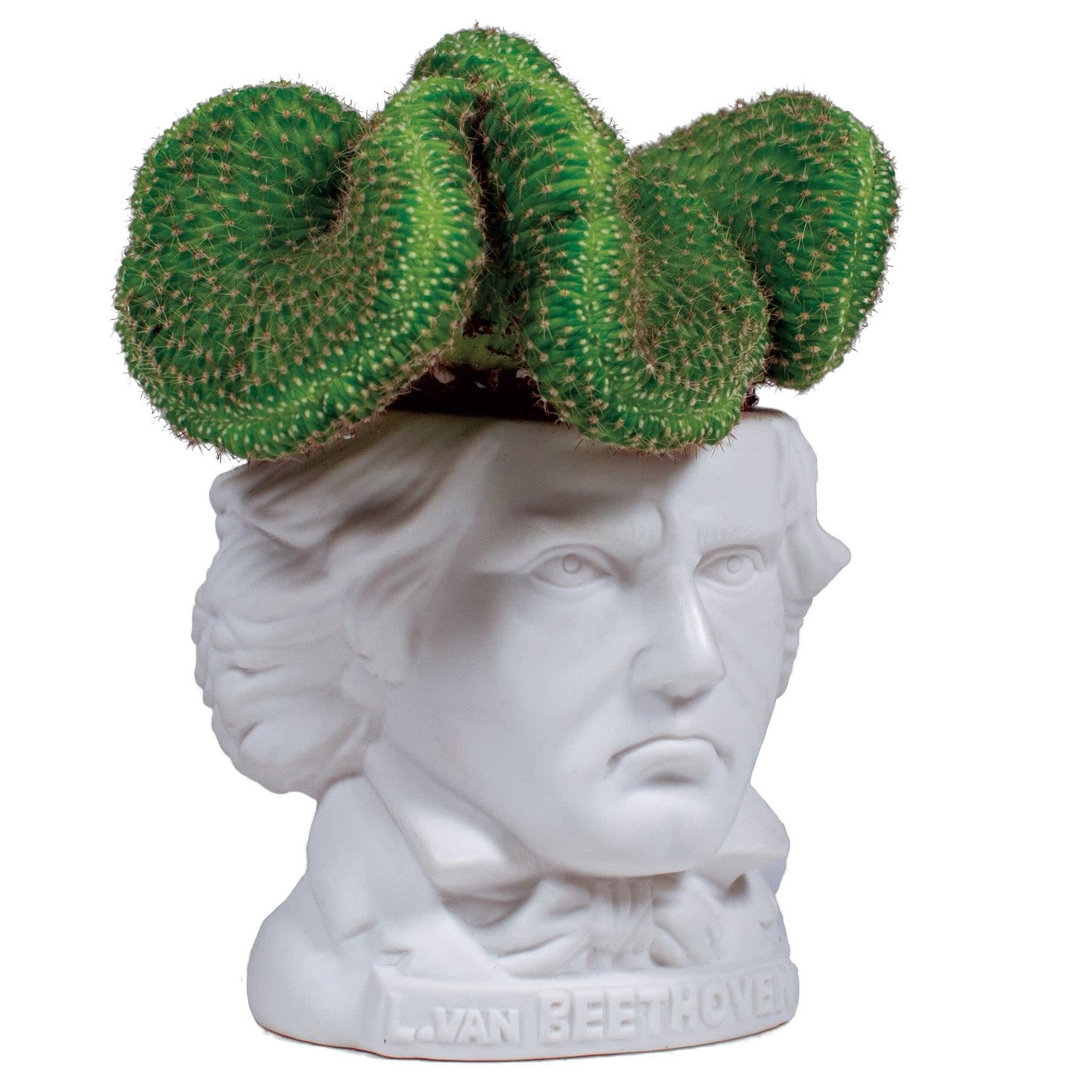 Ludwig Van Beethoven Planter