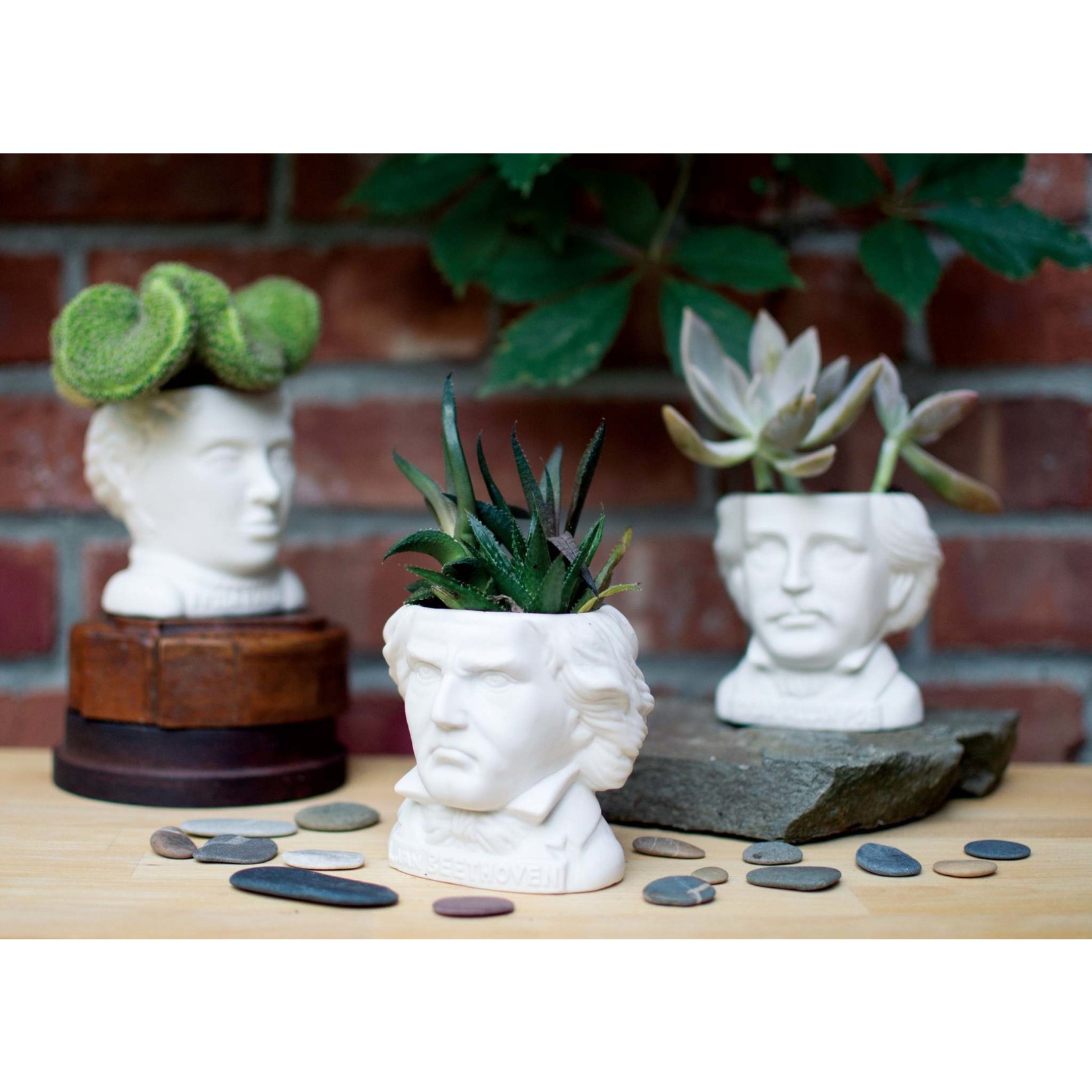 Ludwig Van Beethoven Planter