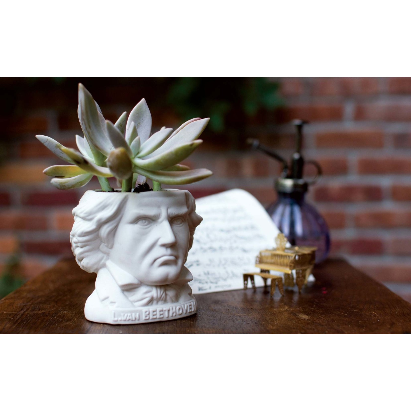 Ludwig Van Beethoven Planter