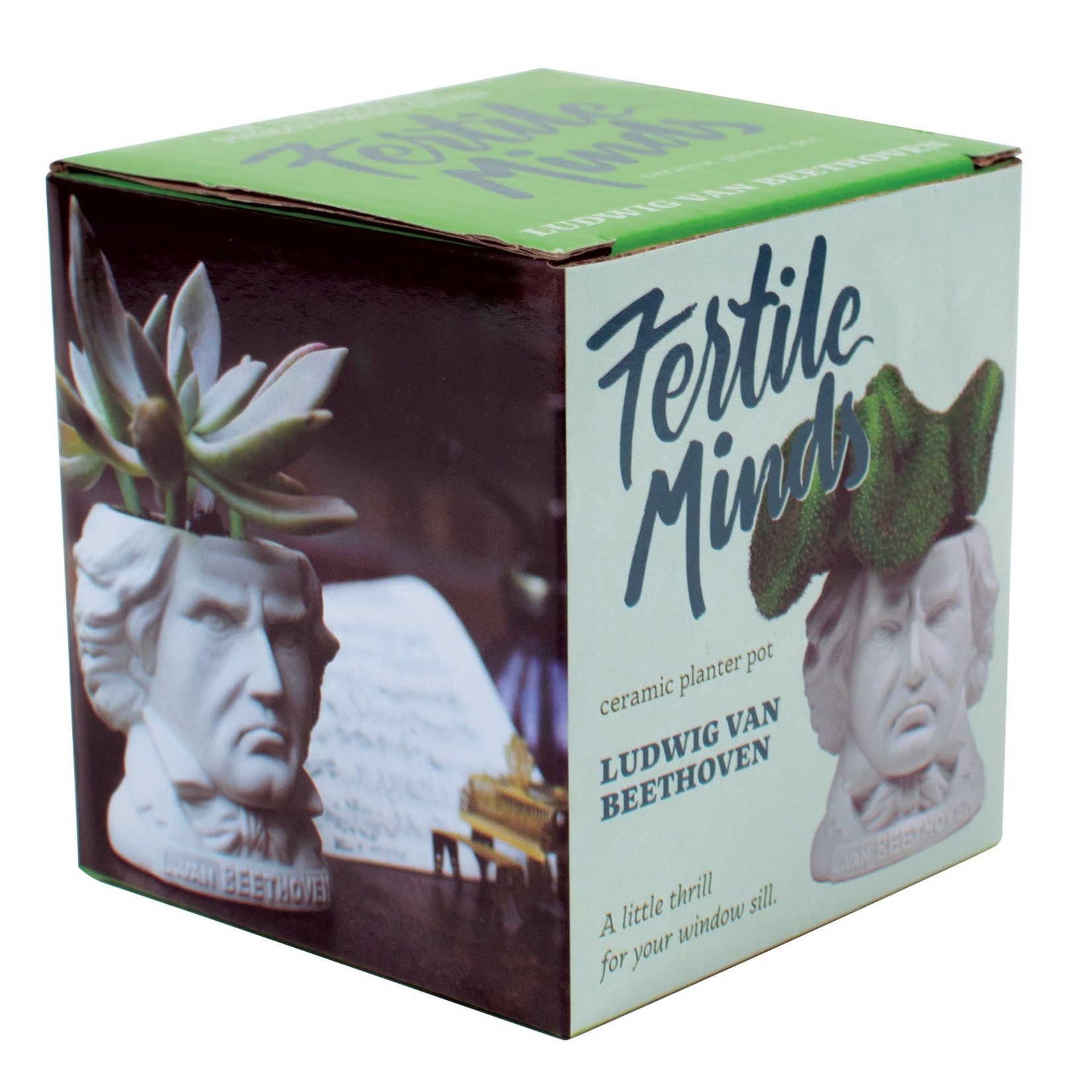 Ludwig Van Beethoven Planter