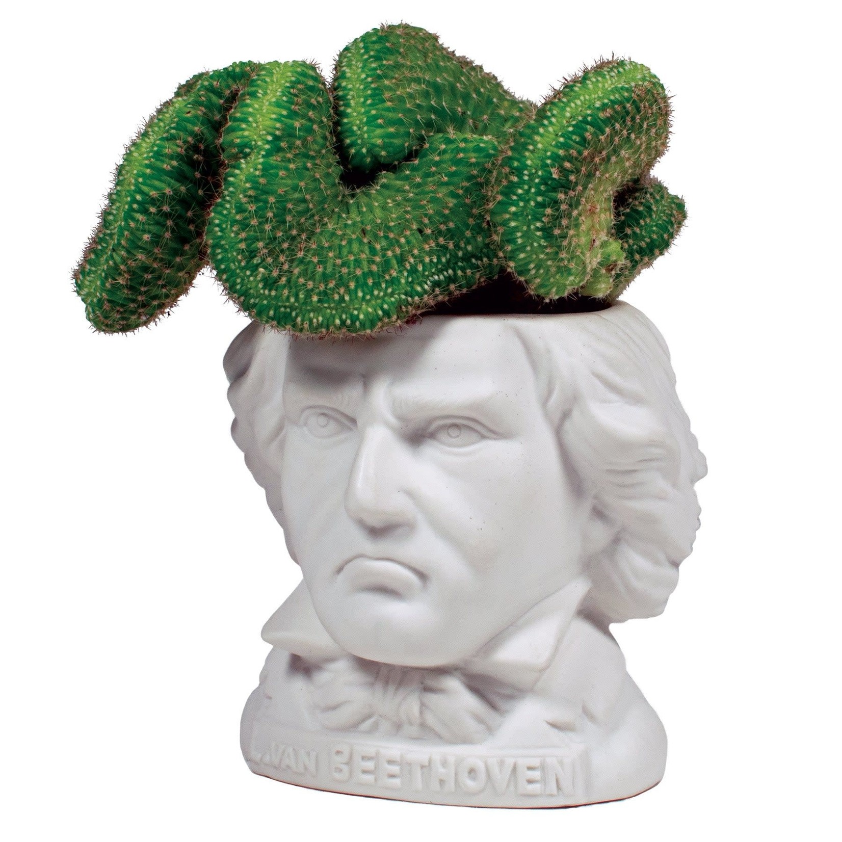 Fertile Minds - Ludwig Van Beethoven
