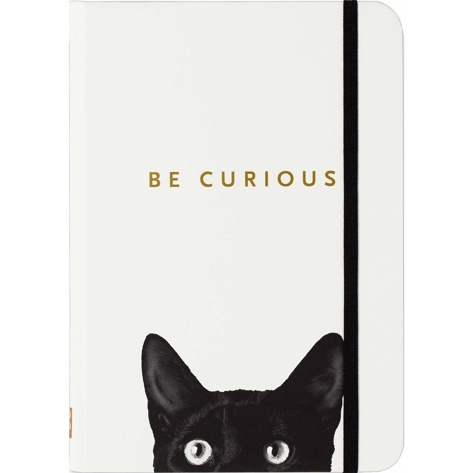 Peter Pauper Press Small Journal: Curious Cat