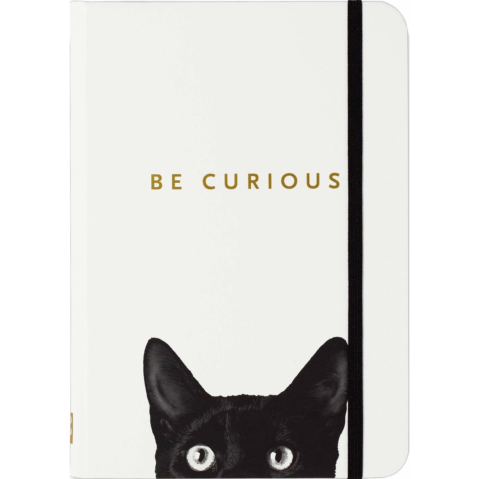 Small Journal: Curious Cat