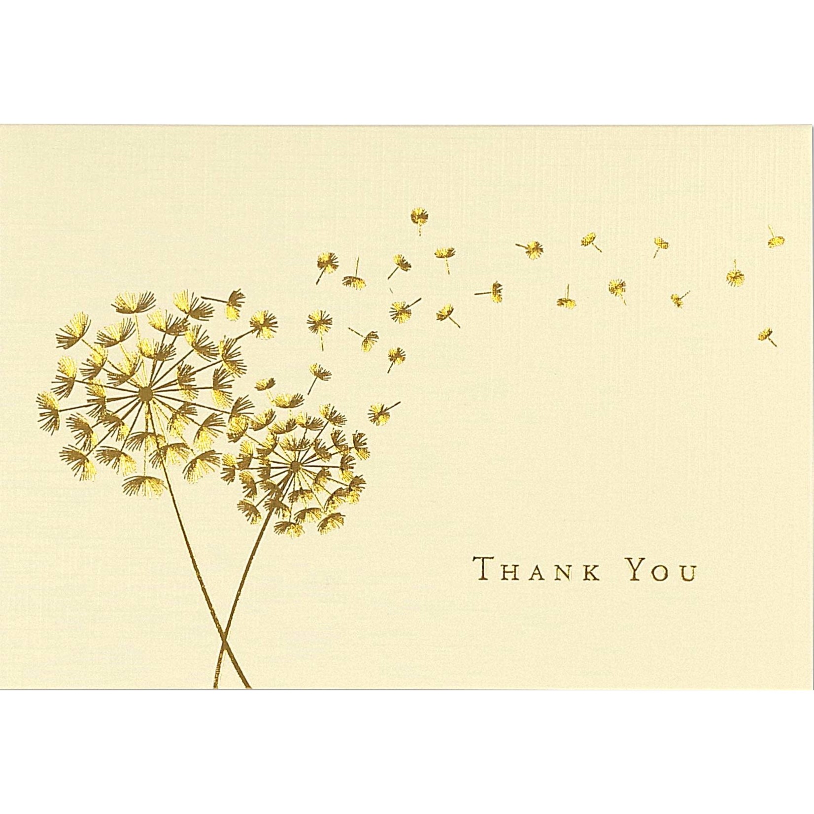 Peter Pauper Press Boxed Thank You Cards: Dandelion Wishes