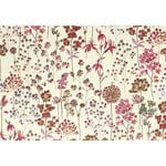 Peter Pauper Press Boxed Note Cards: Wildflower Meadow