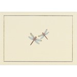 Boxed Note Cards: Blue Dragonflies
