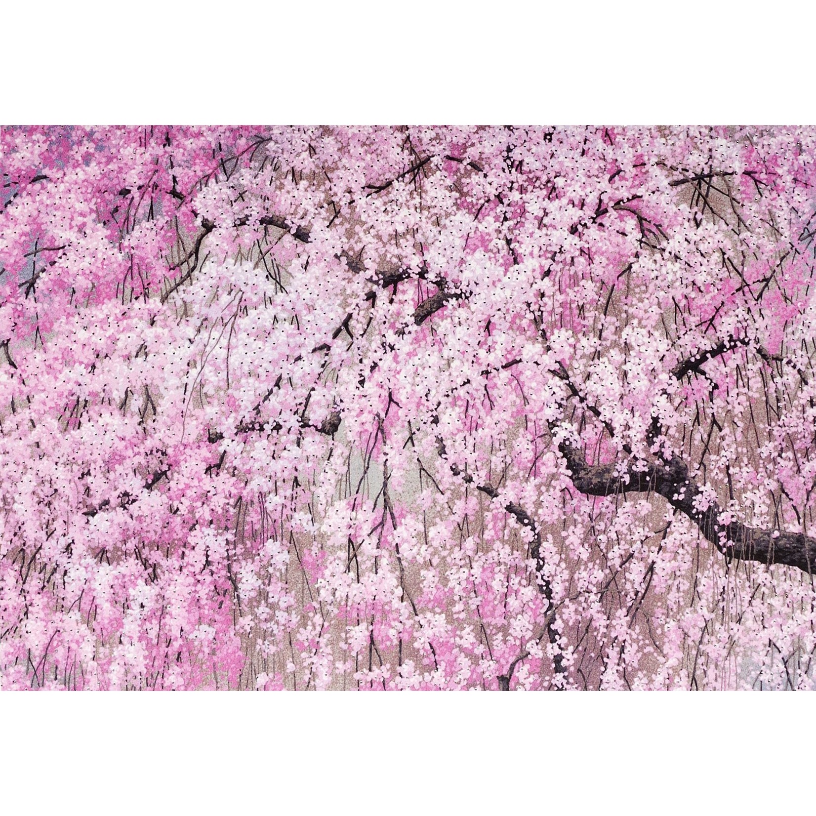 Boxed Note Cards: Cherry Blossoms
