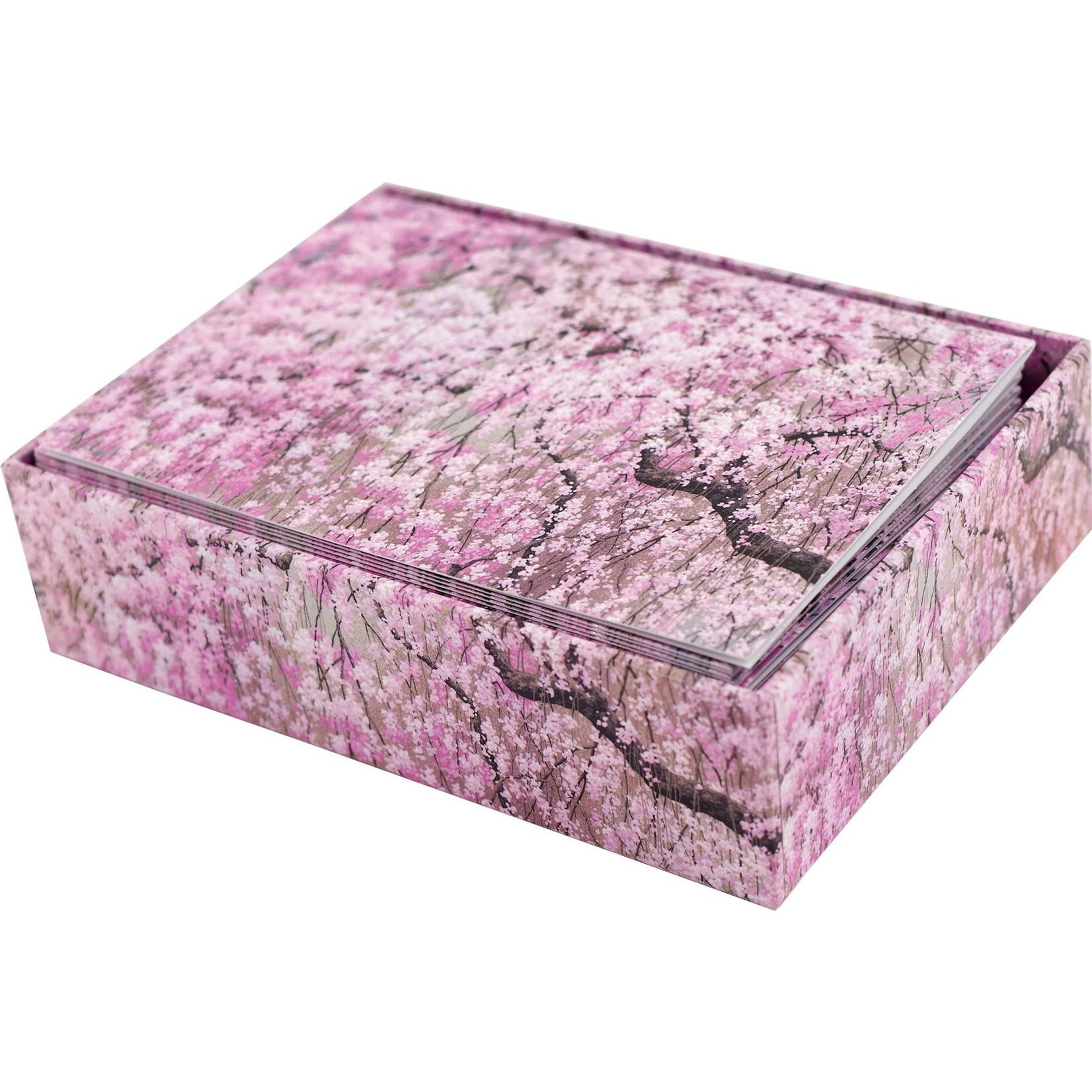 Peter Pauper Press Boxed Note Cards: Cherry Blossoms