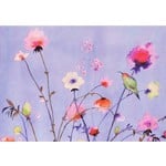 Peter Pauper Press Boxed Note Cards: Lavender Wildflowers