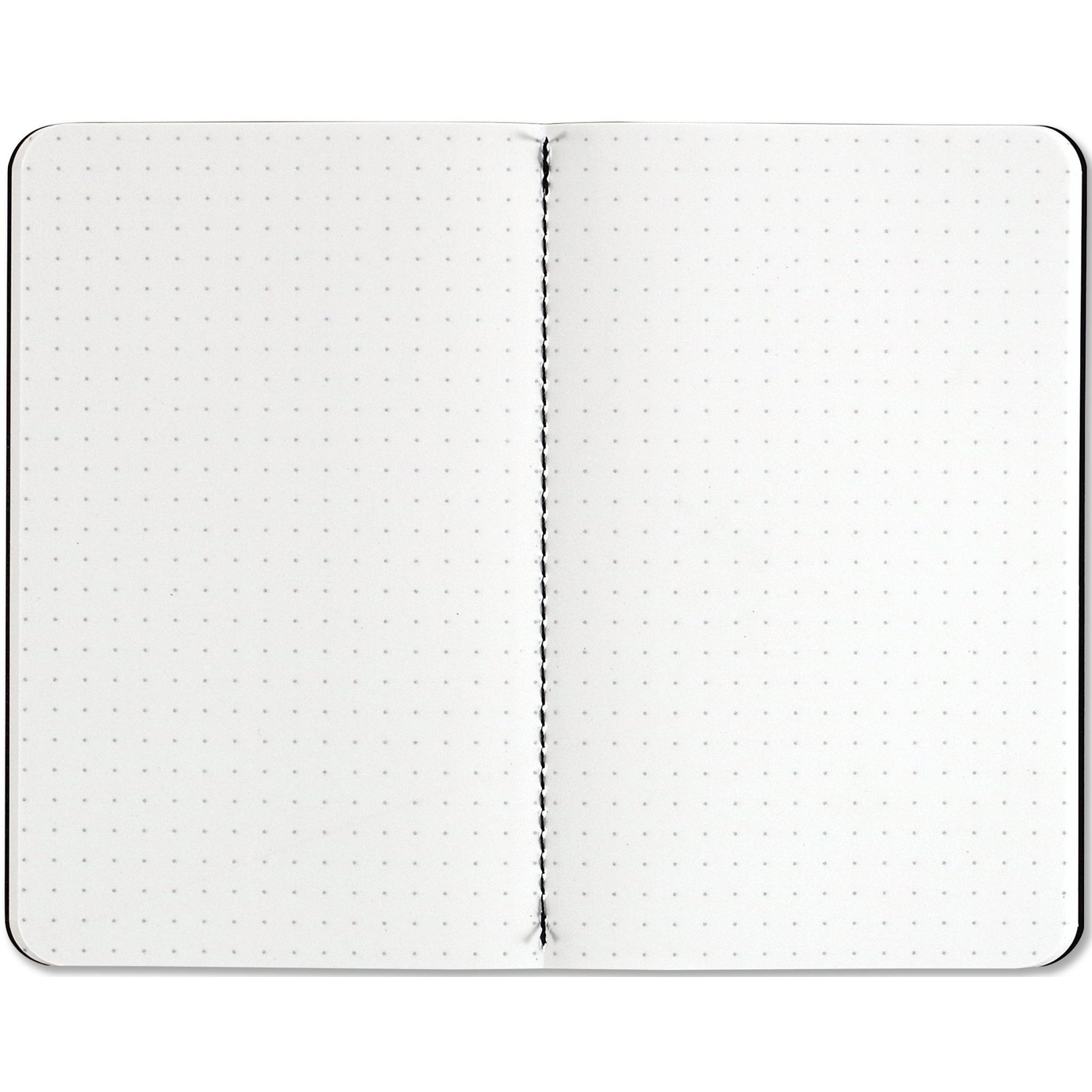 Notebooks  Dot Grid vs. Plain – Creoly