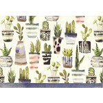 Boxed Note Cards: Watercolor Succulents