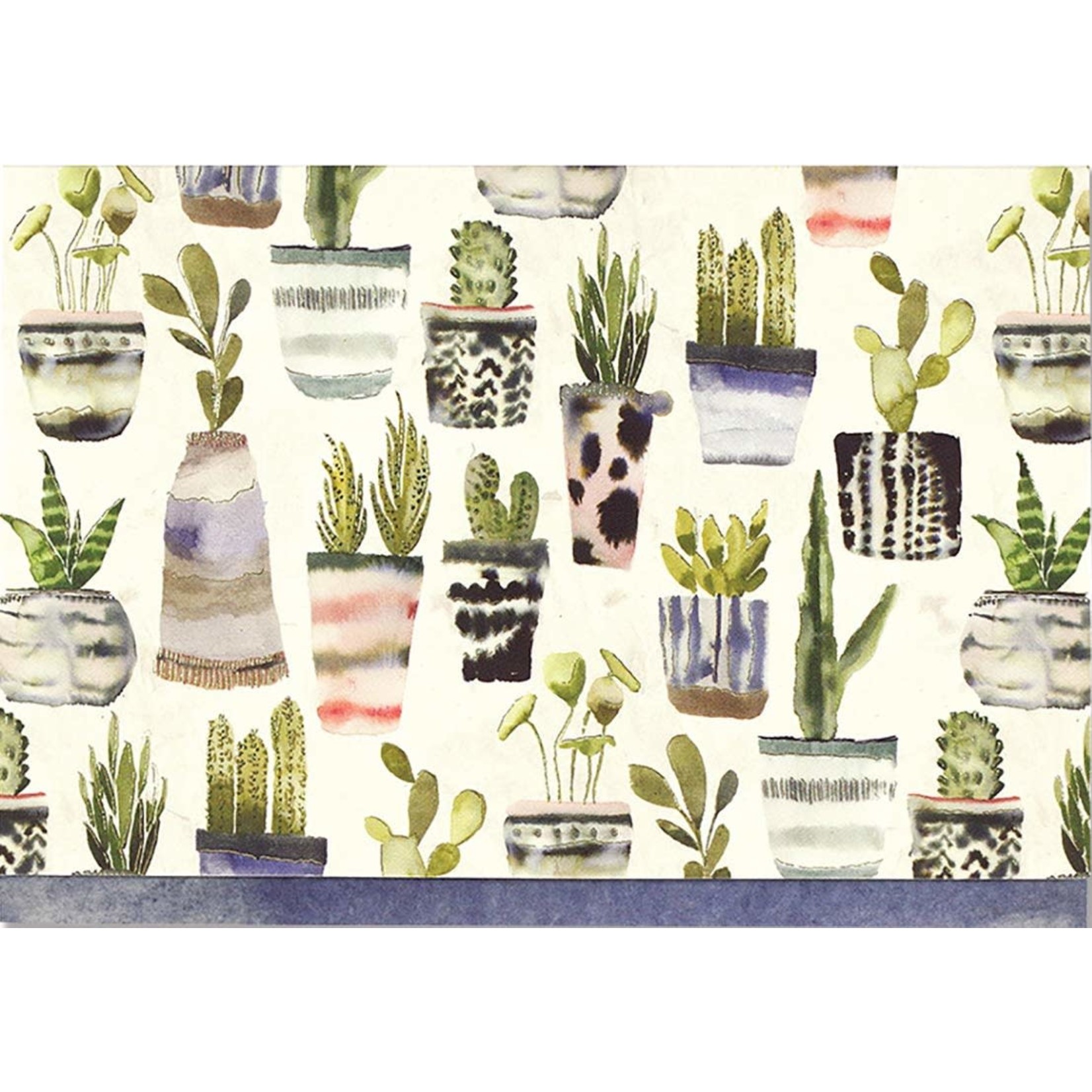 Boxed Note Cards: Watercolor Succulents