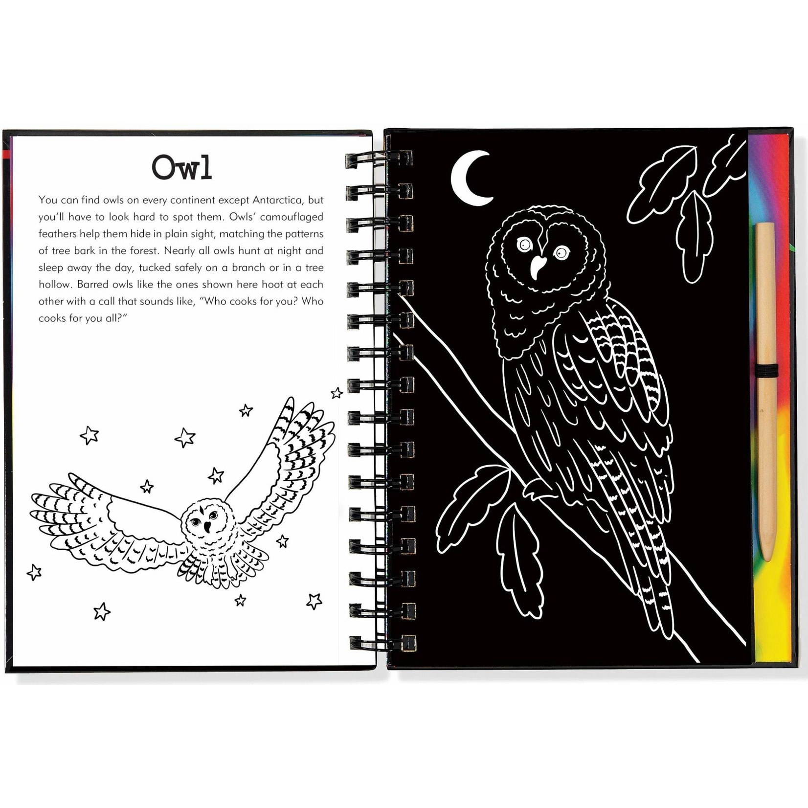 Scratch and Sketch Dot to Dot Activity Book - Sorrells Farms