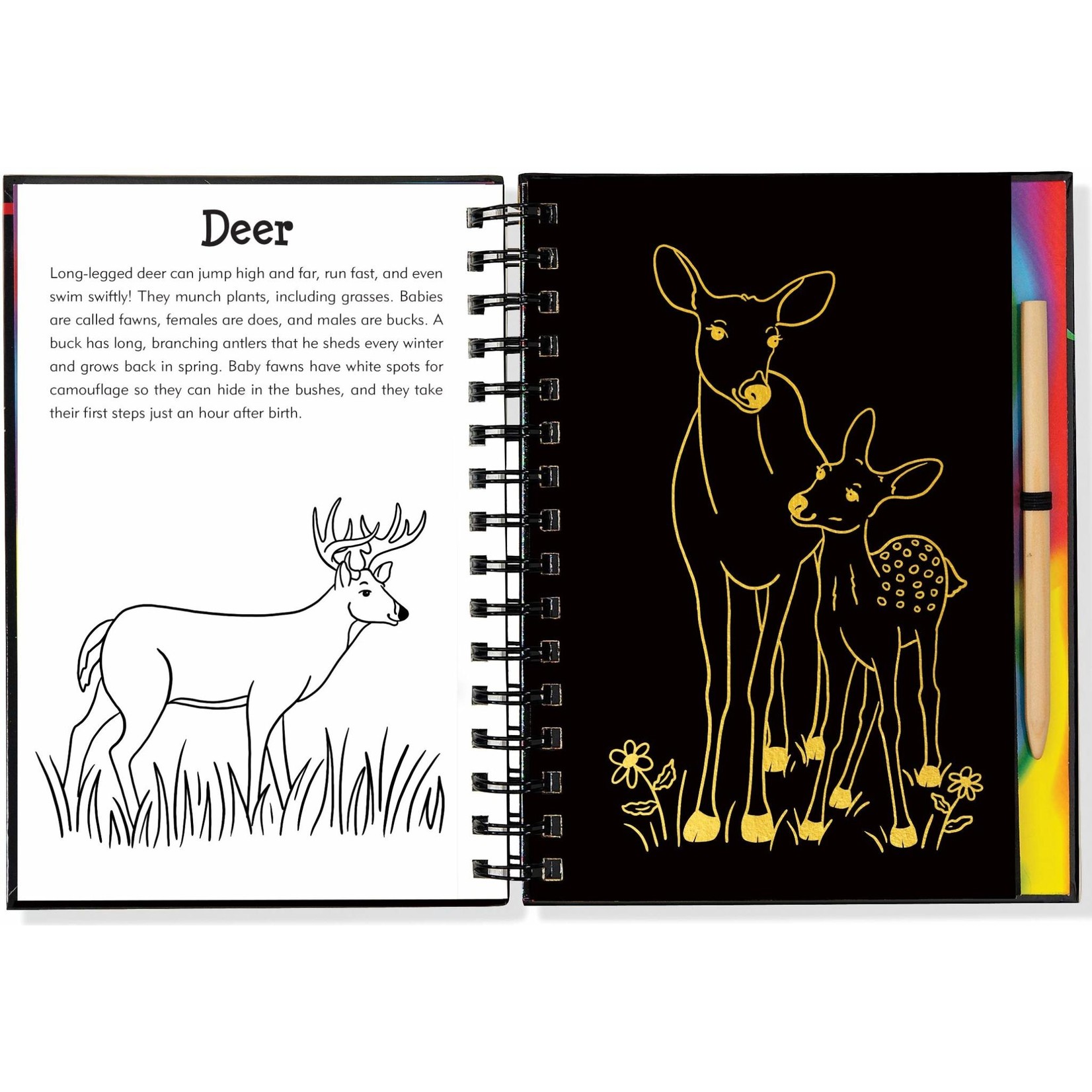 Scratch and Sketch Dot to Dot Activity Book - Sorrells Farms