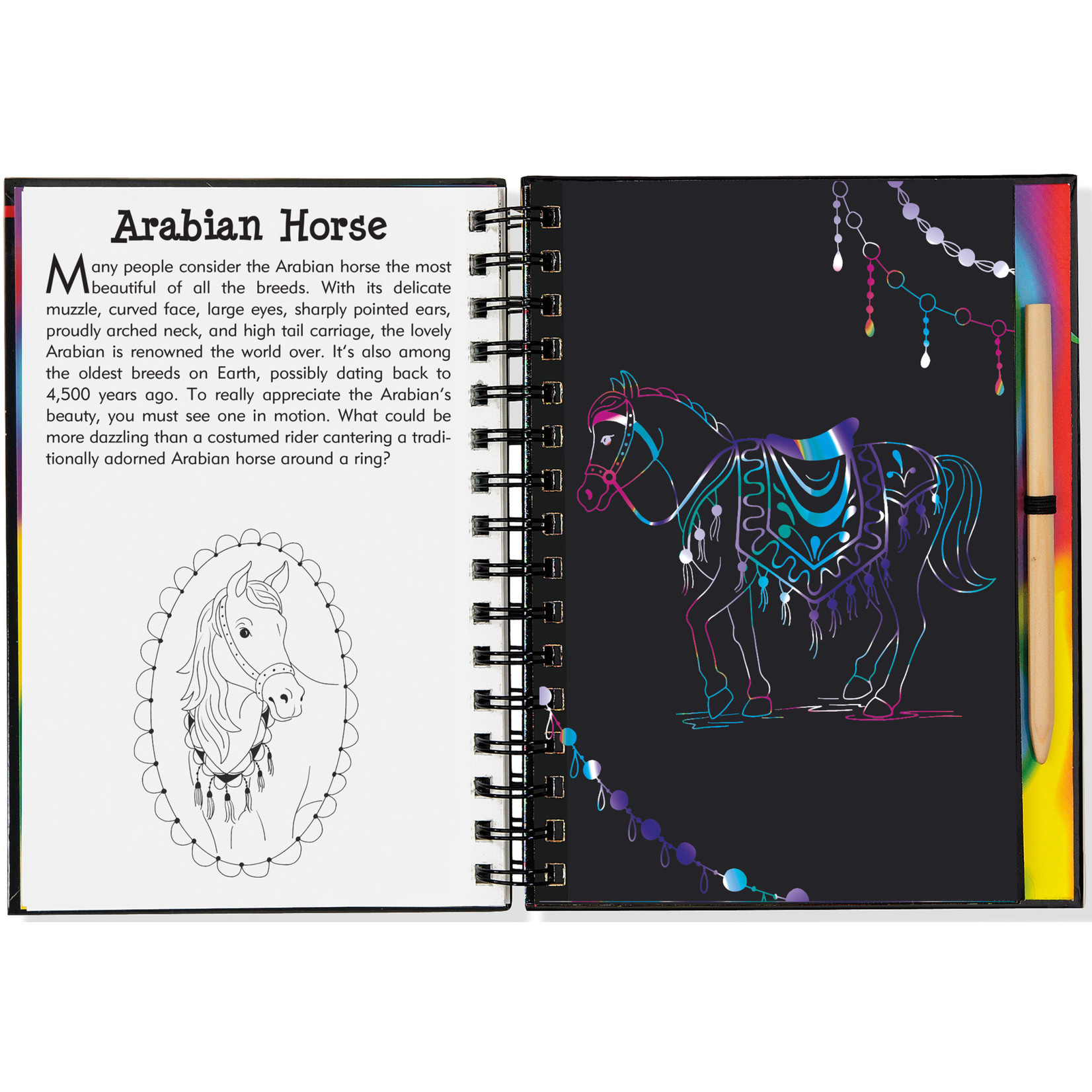 Peter Pauper Press Scratch & Sketch, Horses (Trace-Along)