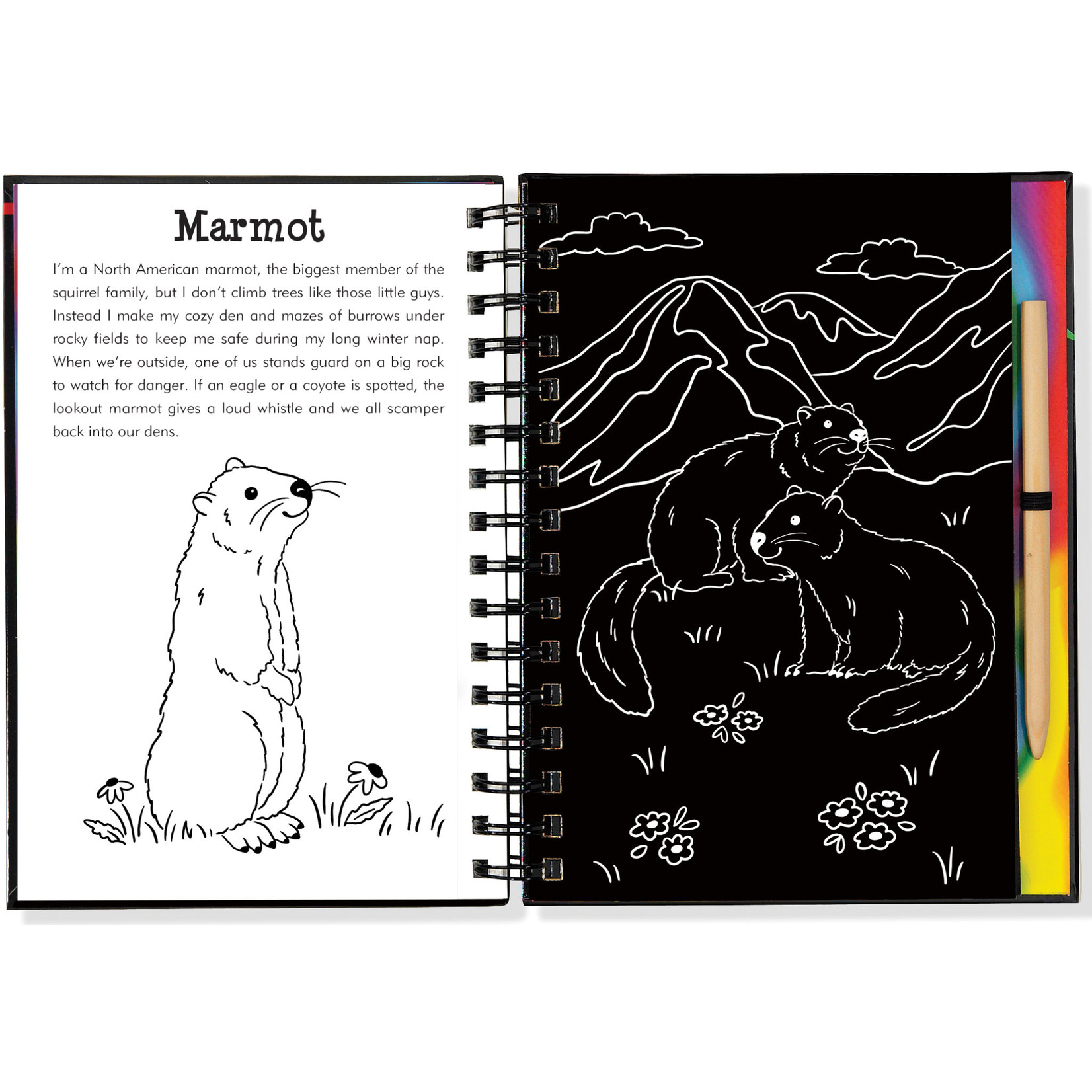 Scratch and Sketch Activity Book - Sorrells Farms