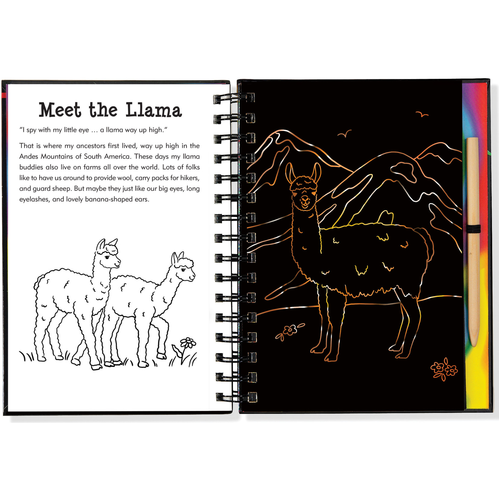 Peter Pauper Press Scratch & Sketch, Llamas & Friends (Trace-Along)