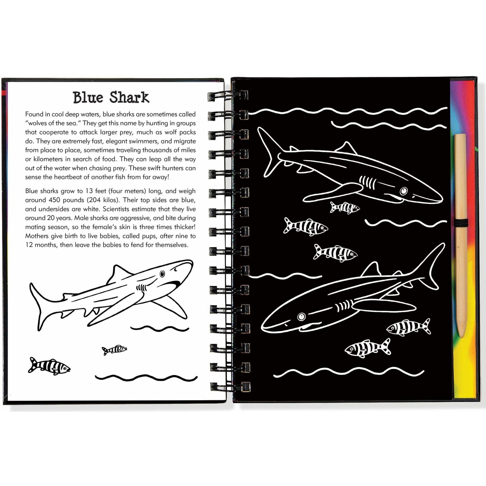 Scratch & Sketch, Sharks (Trace-Along)